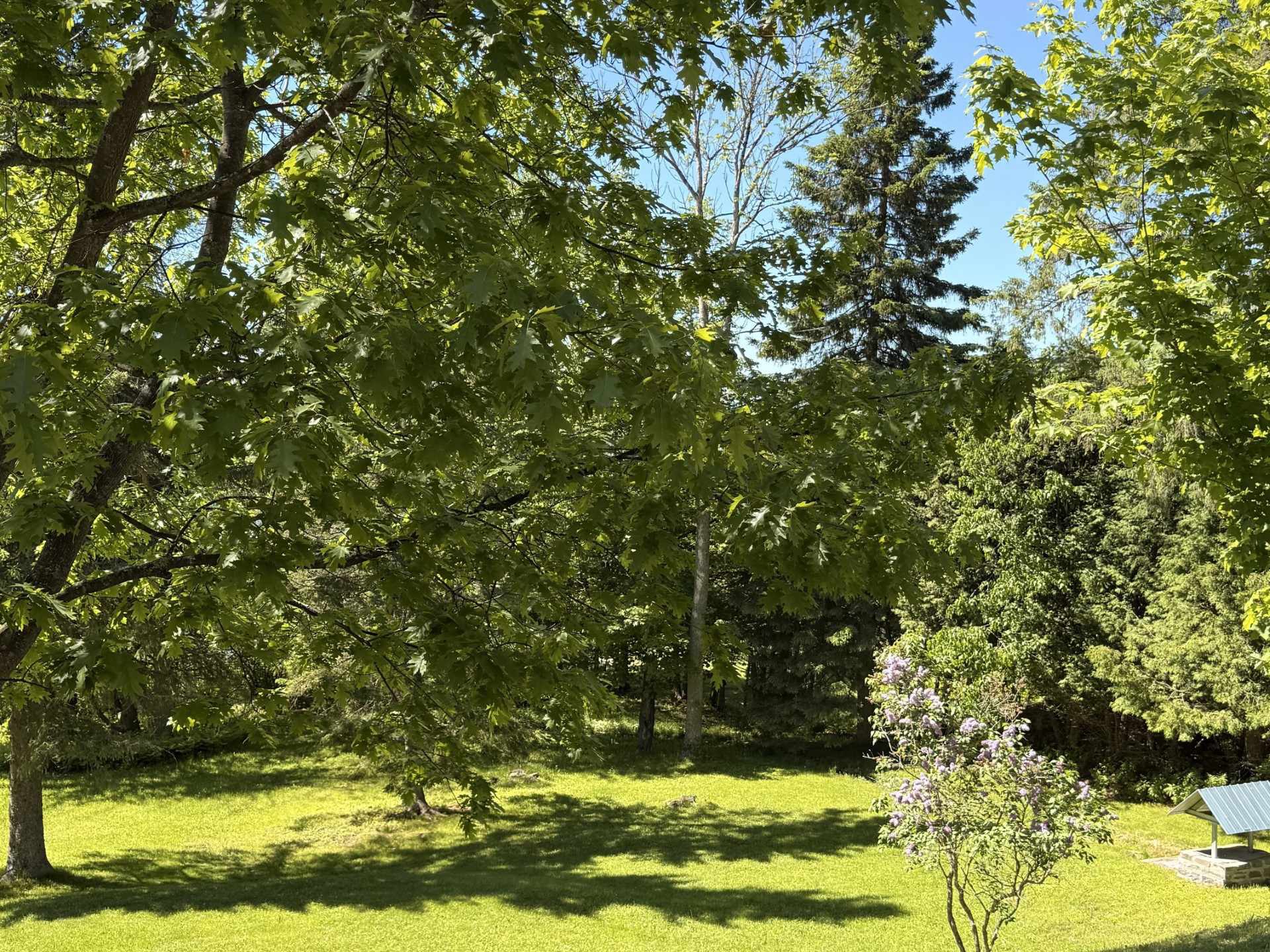 Land/Lot