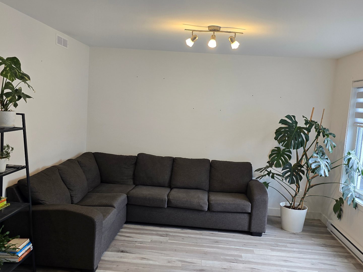 221 Rue Alexandre-Rodrigue — photo 3
