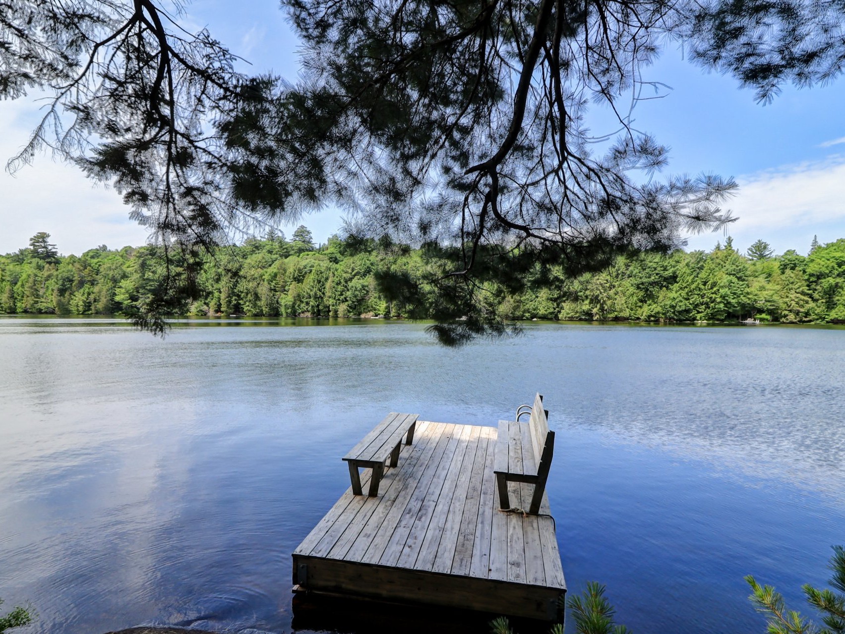 Bord de l'eau