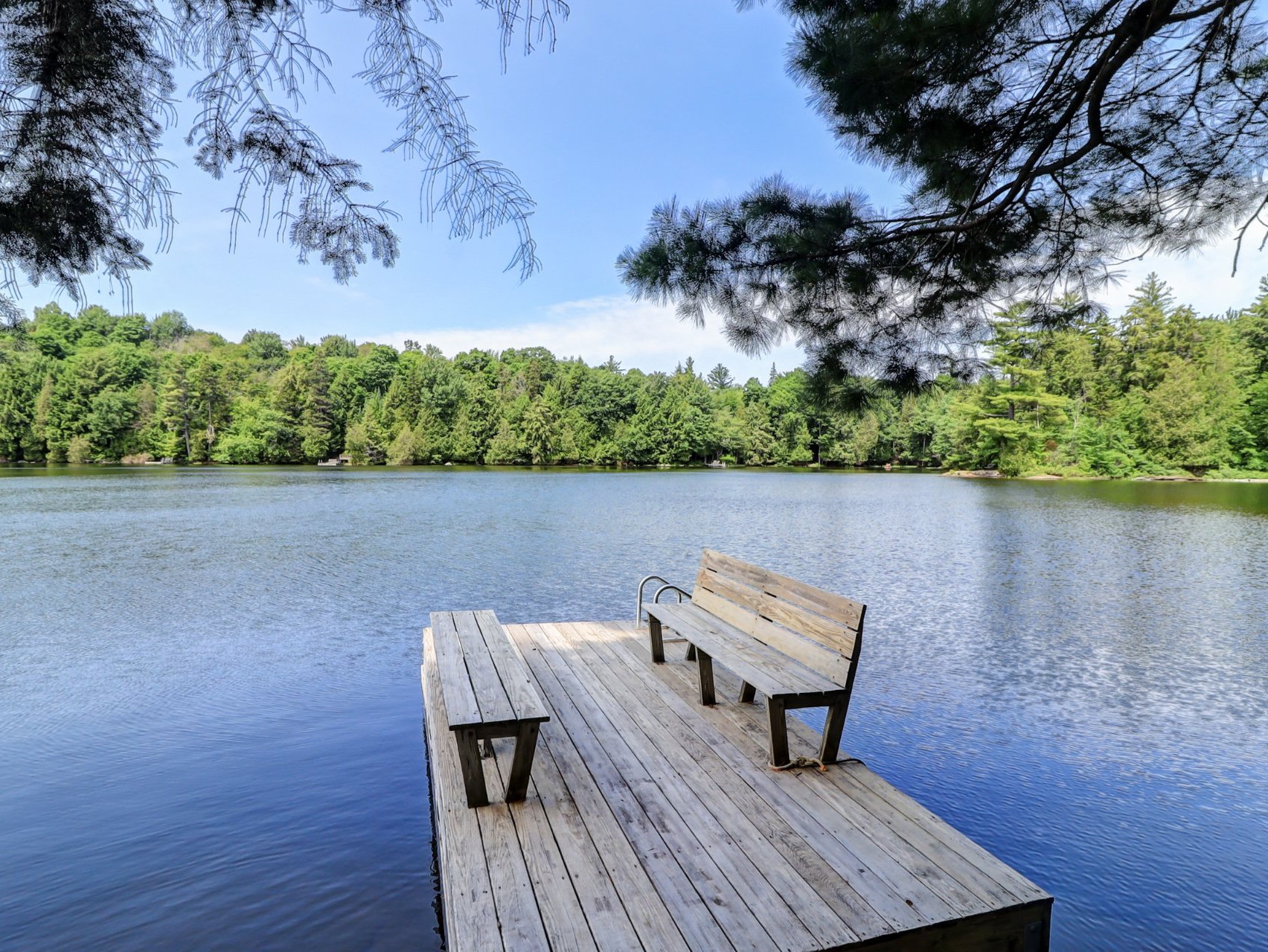 Bord de l'eau