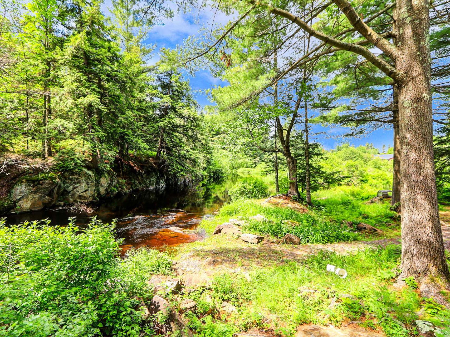 Vue sur l'eau