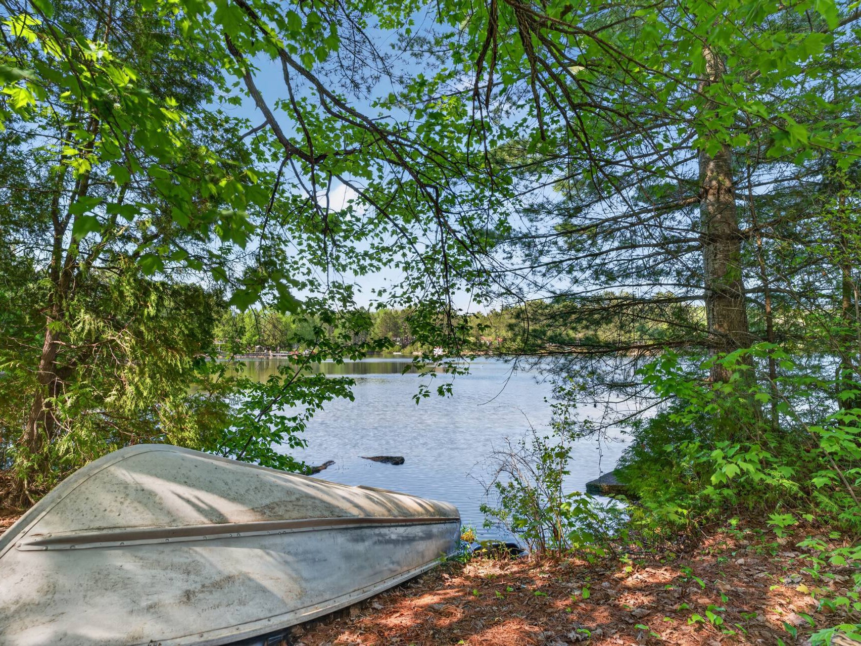 Vue sur l'eau