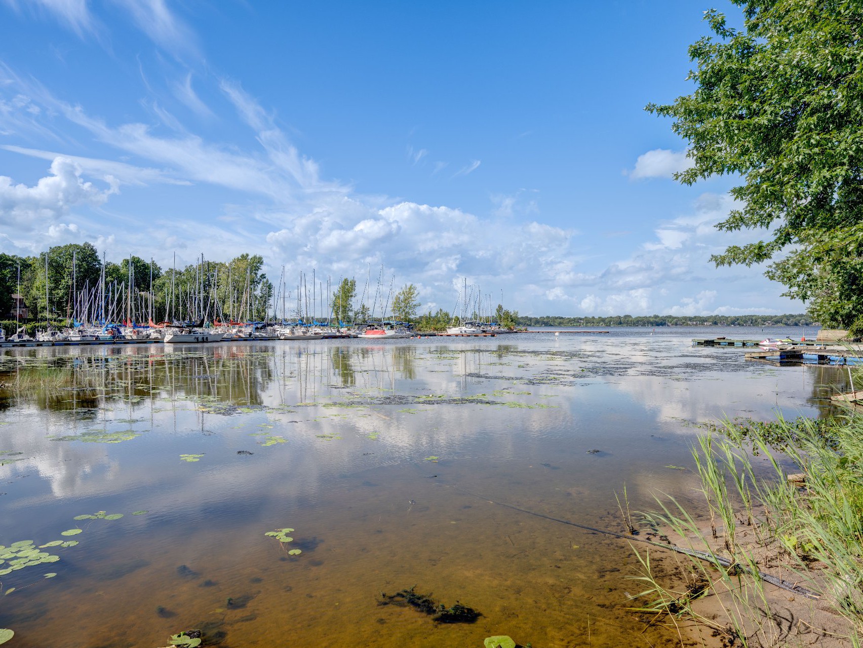 Bord de l'eau