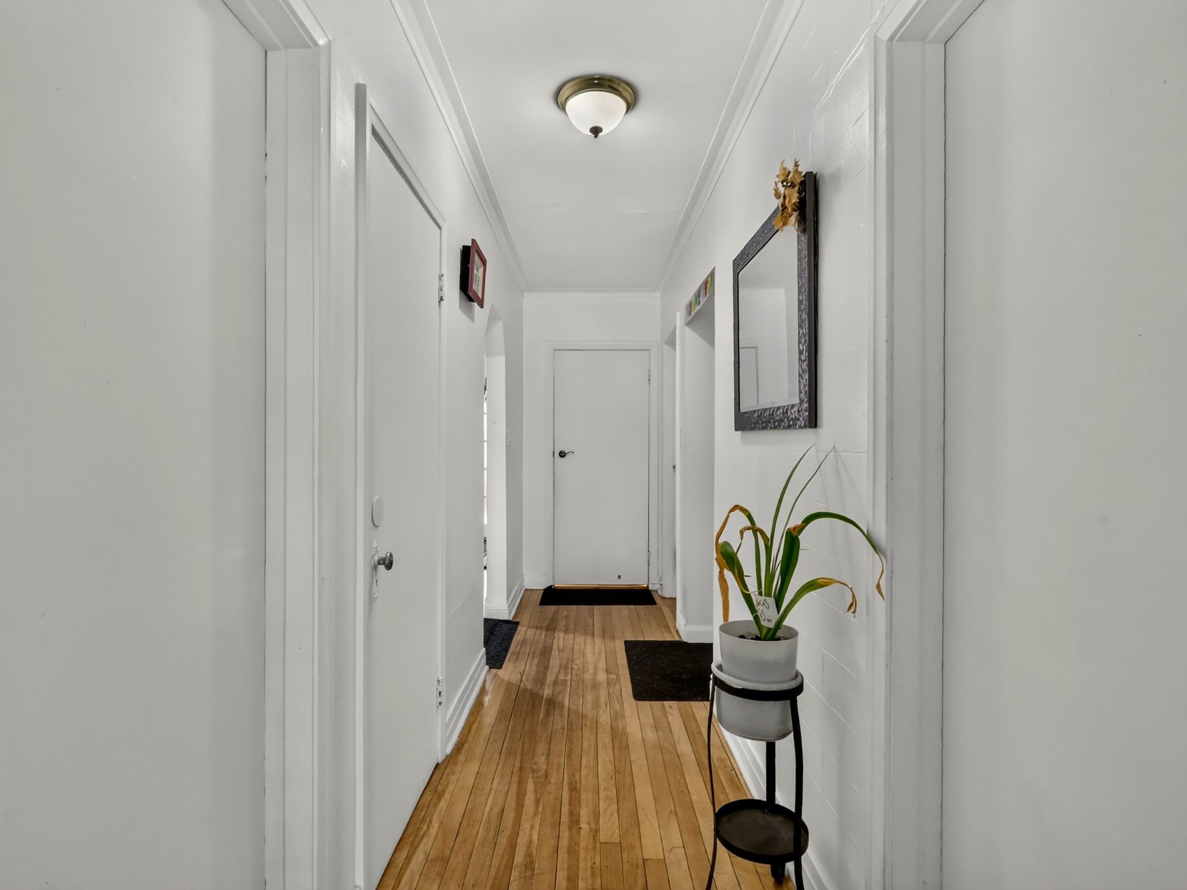 Corridor