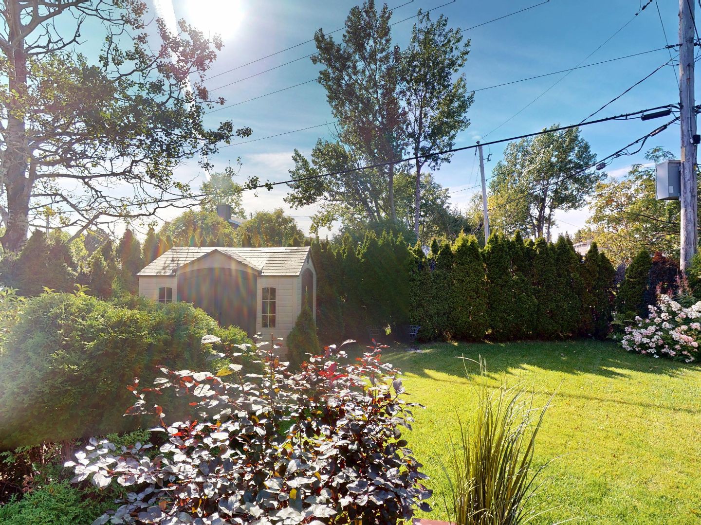 Backyard