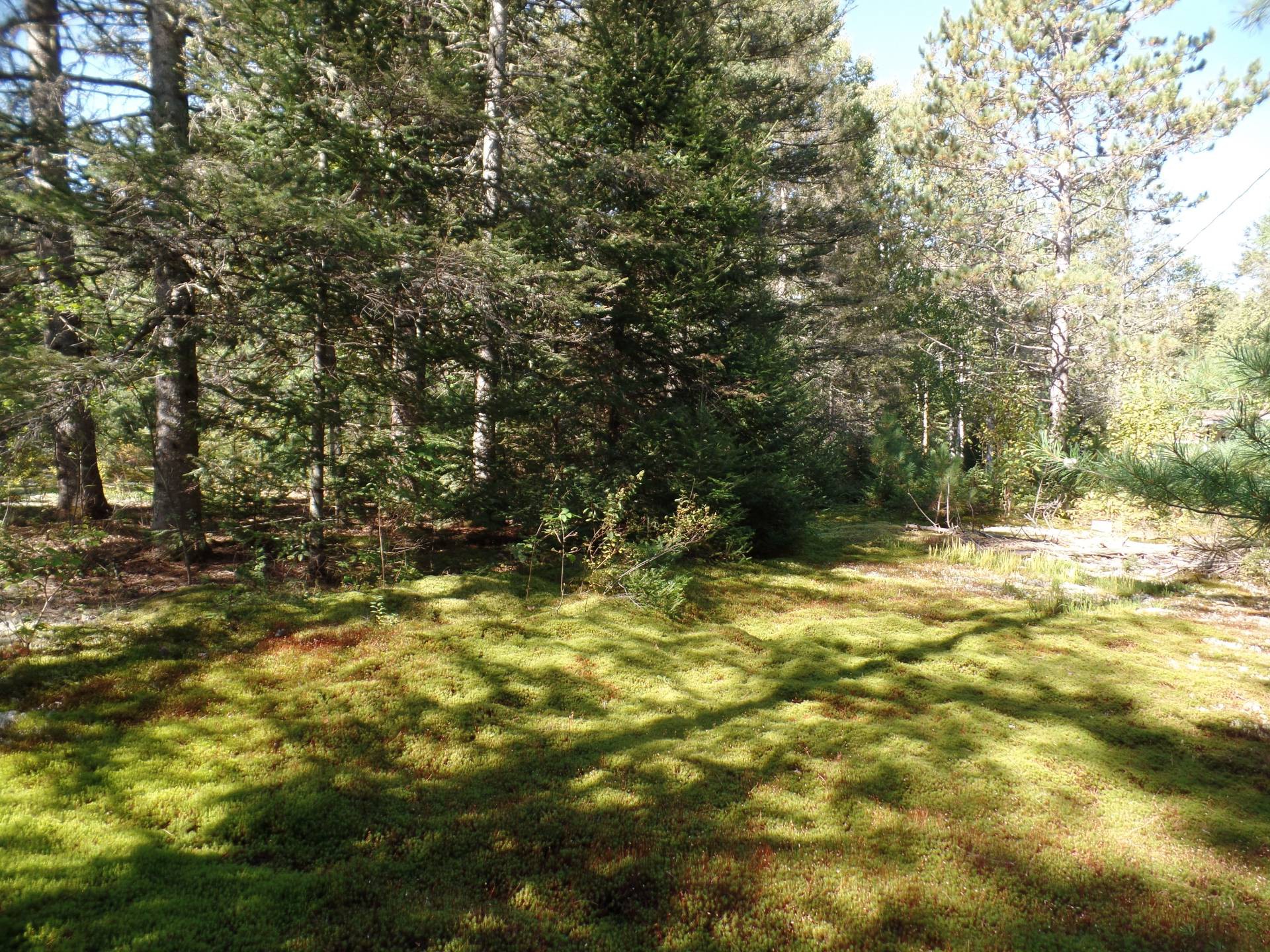 Lot for sale, Notre-Dame-du-Laus