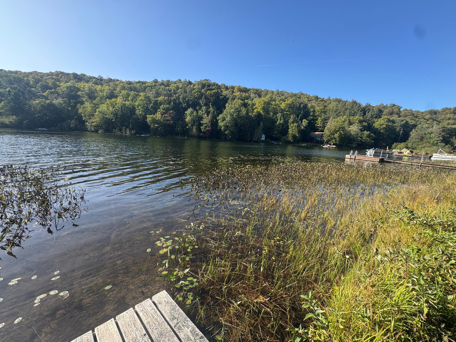 Waterfront