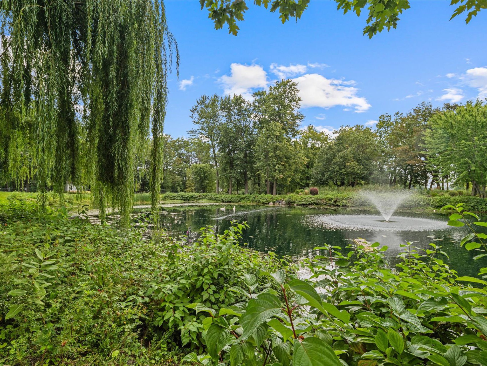Vue sur l'eau