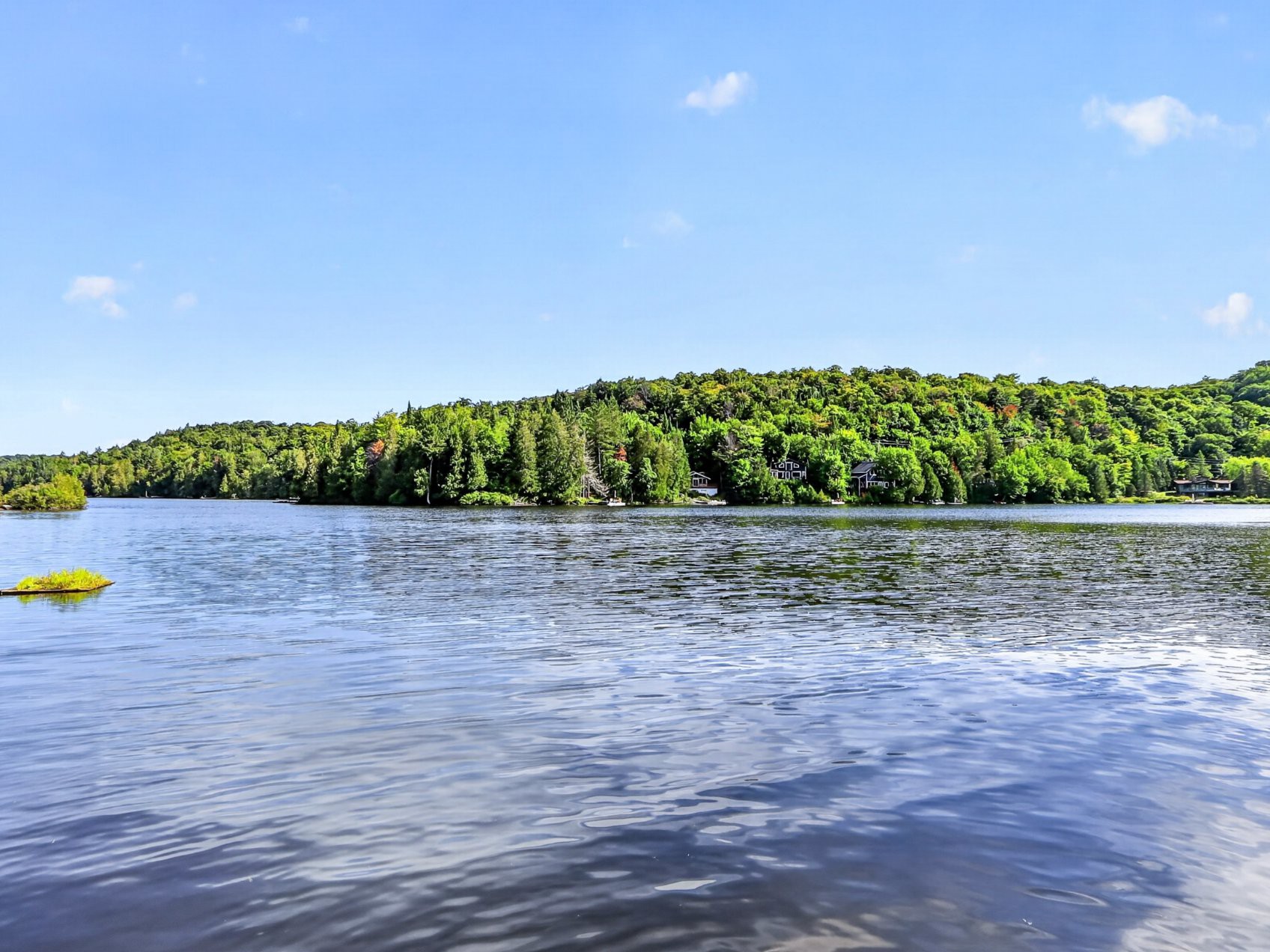 Bord de l'eau