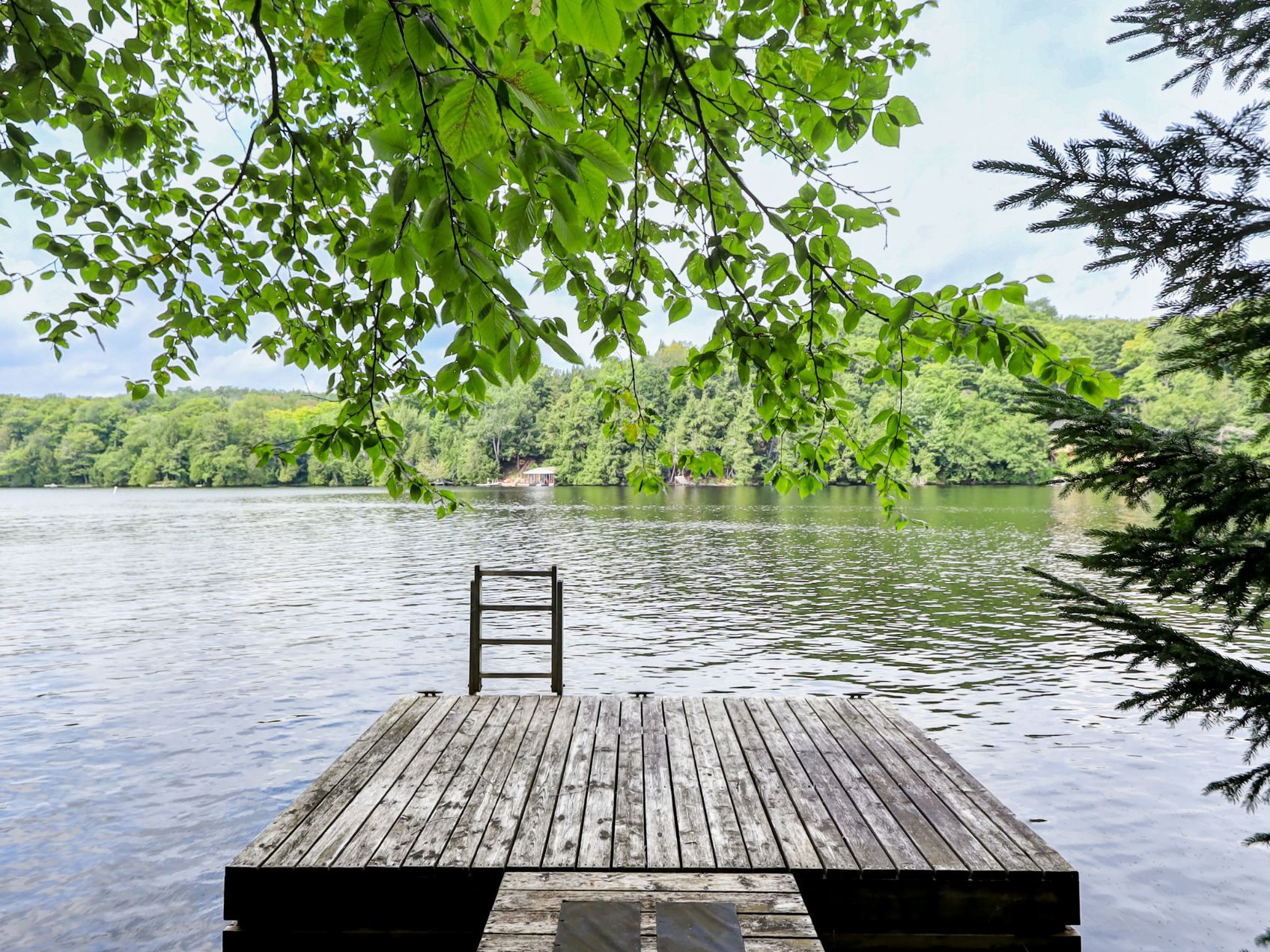 Bord de l'eau
