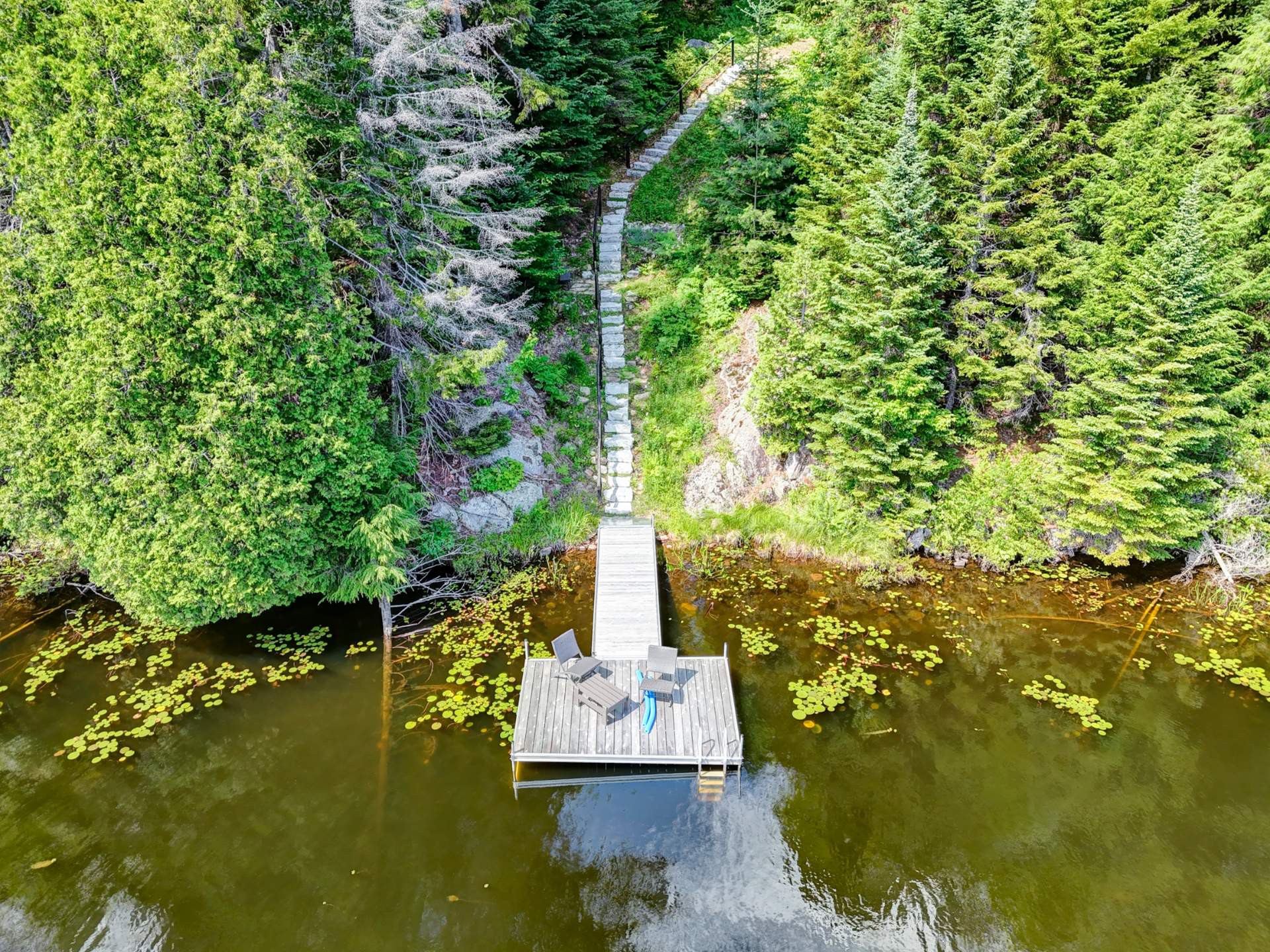 Bord de l'eau