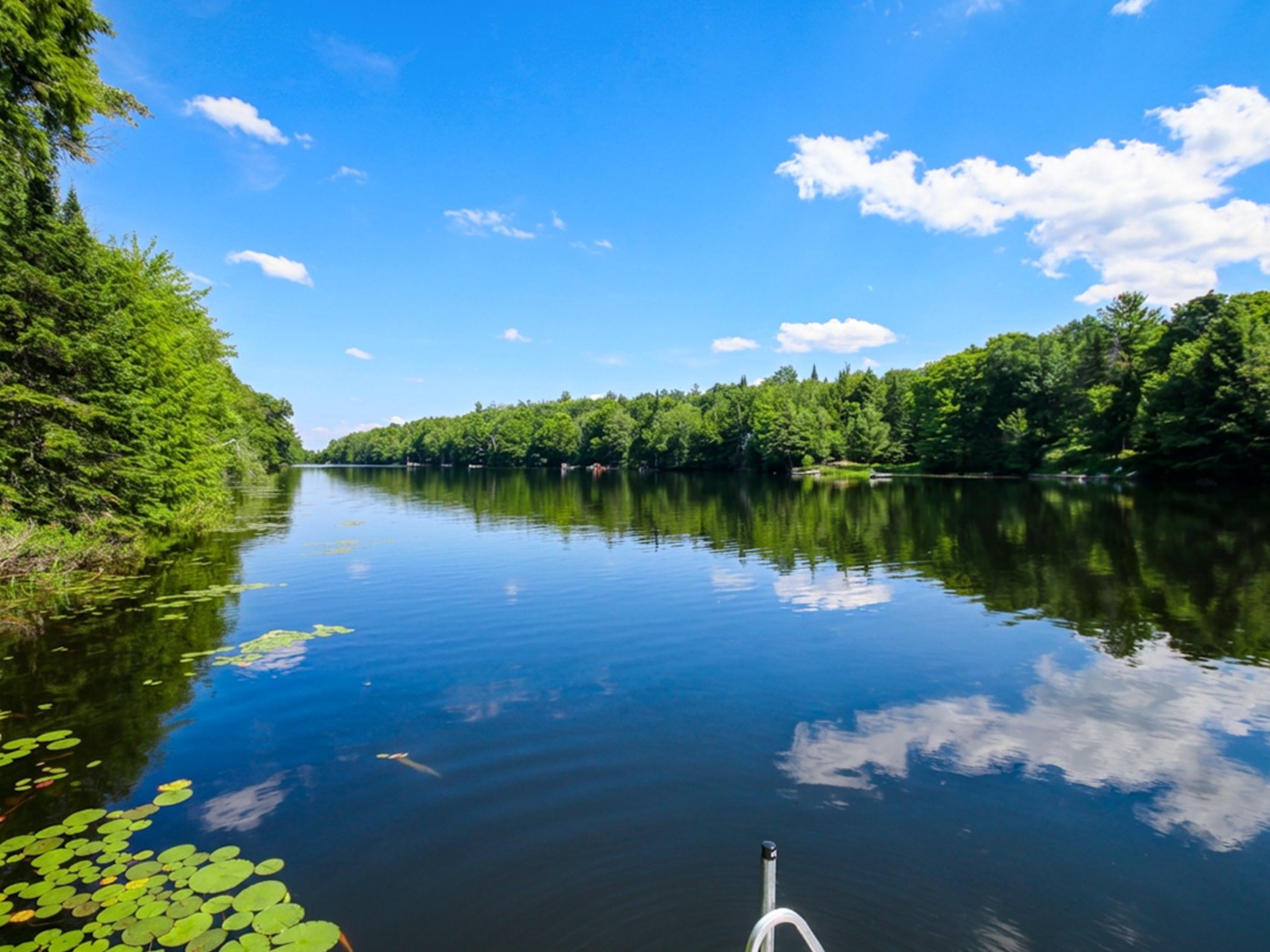 Bord de l'eau
