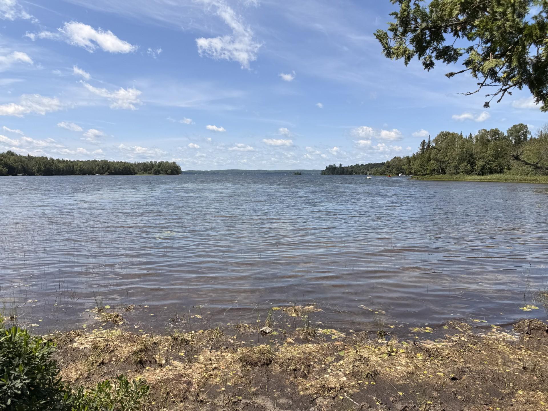 Bord de l'eau
