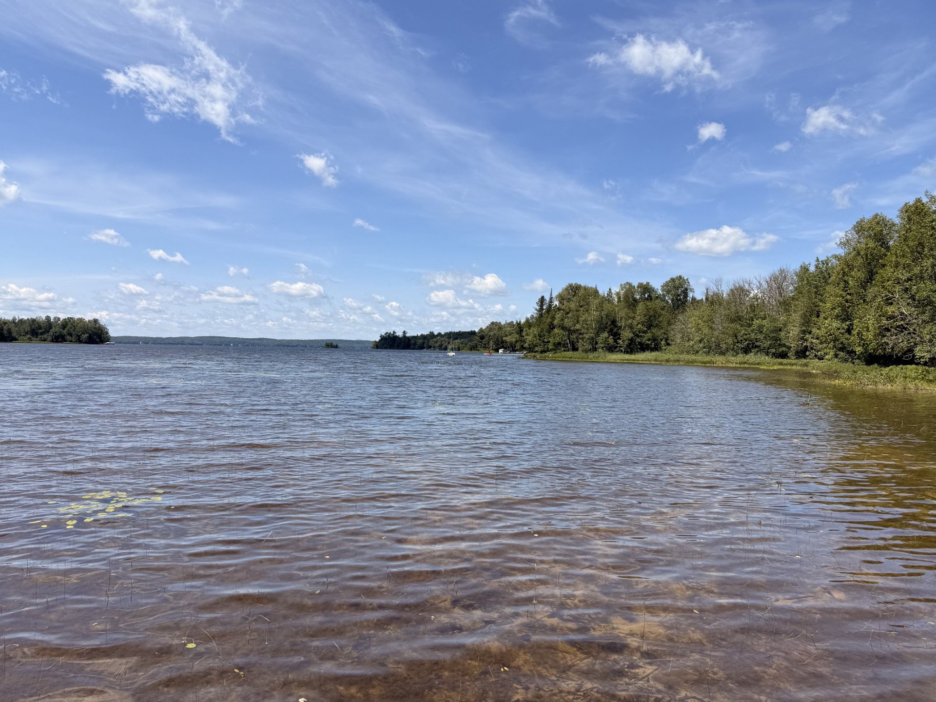 Bord de l'eau
