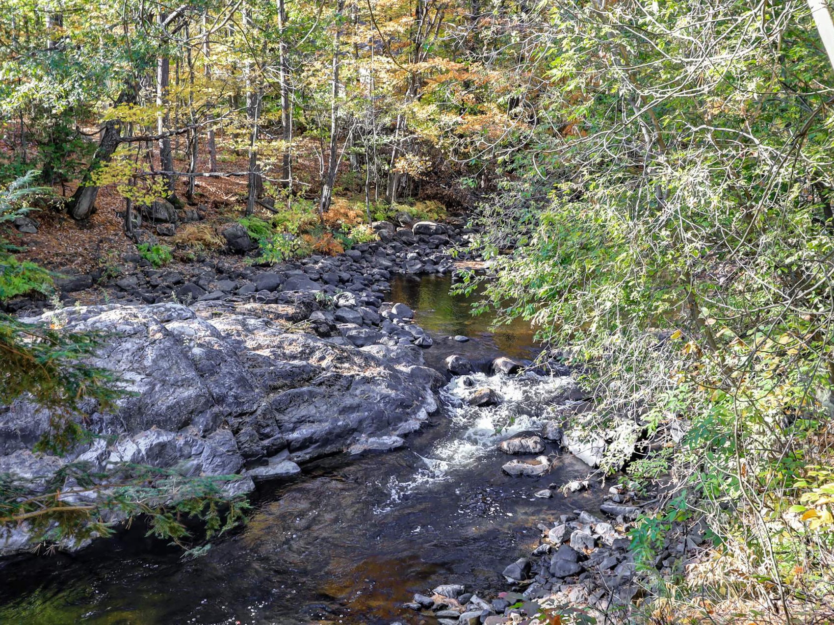 Accès au plan d'eau