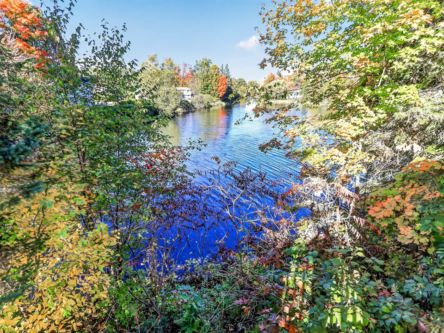 Vue sur l'eau