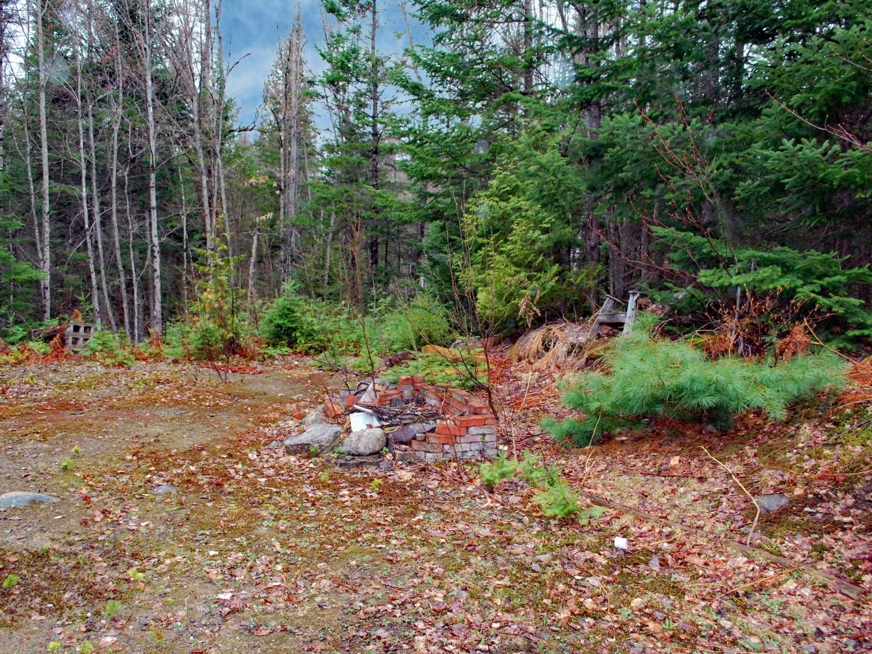 Terre/Terrain