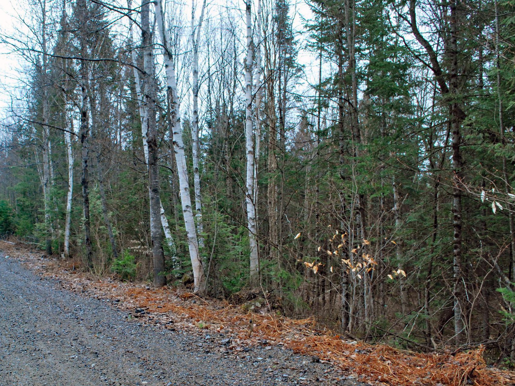 Terre/Terrain