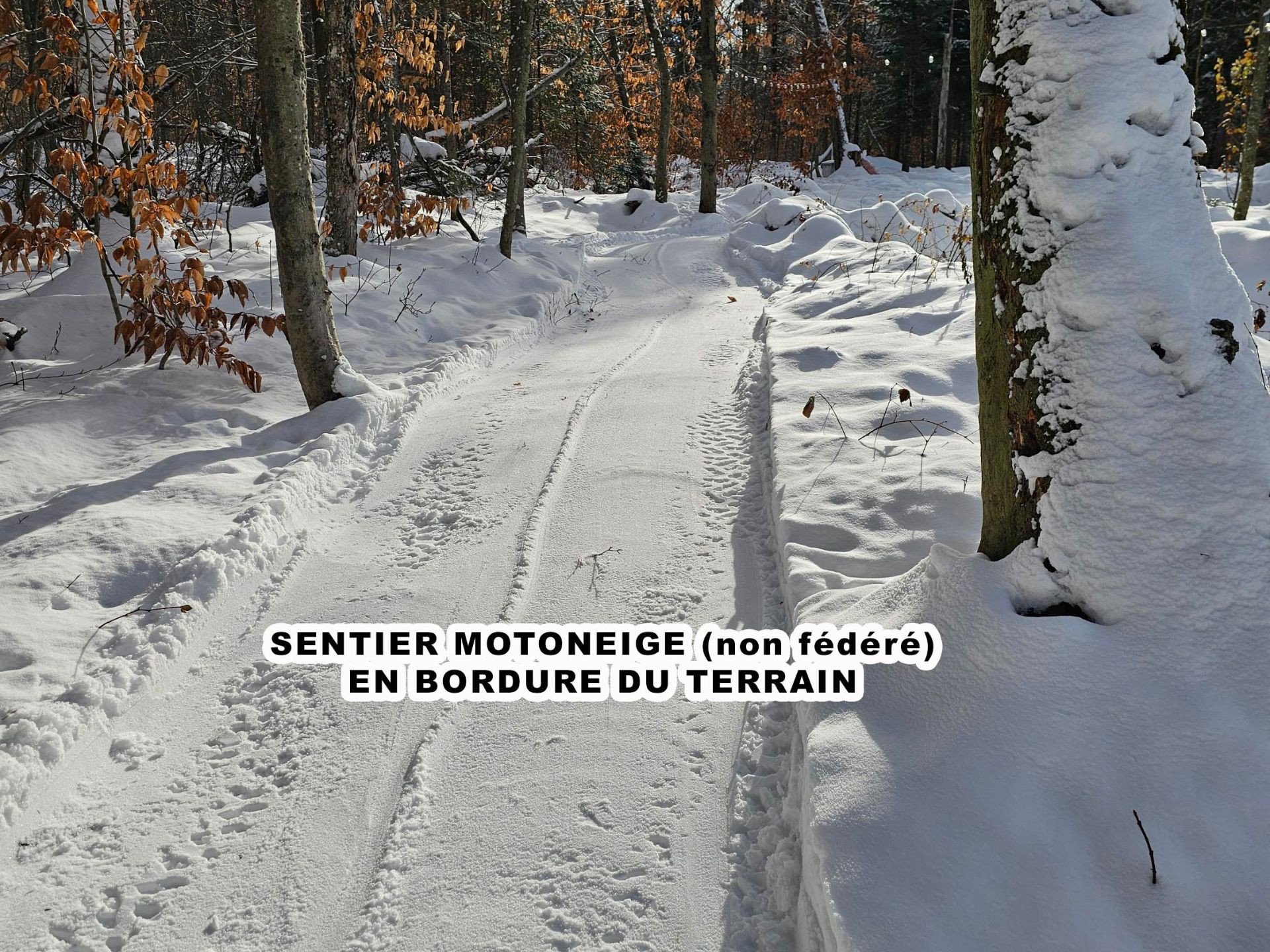 Proximité