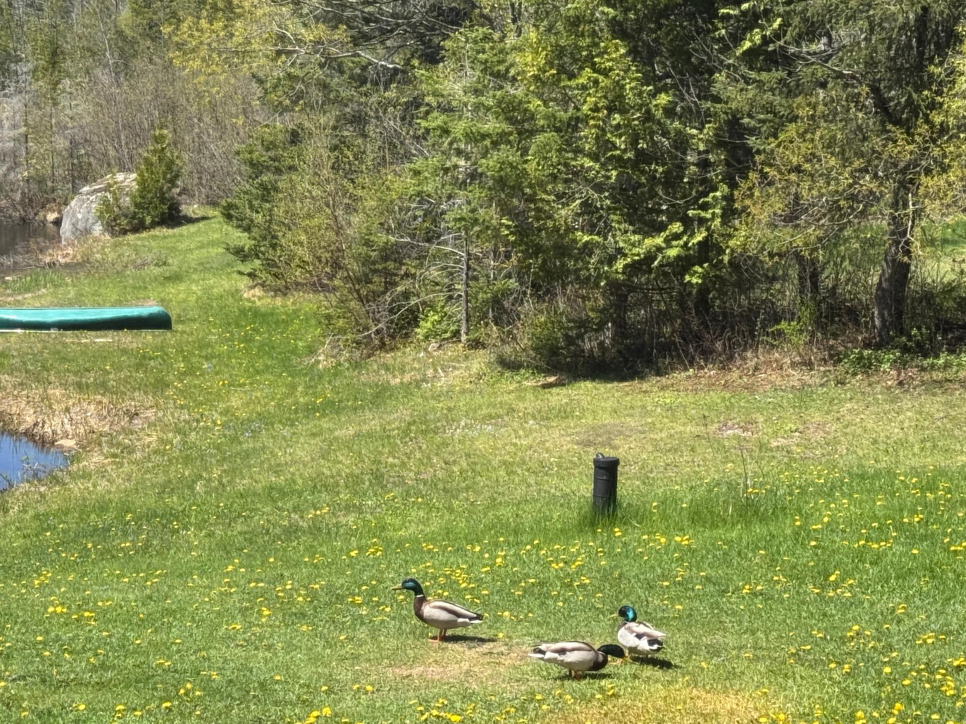 Bord de l'eau