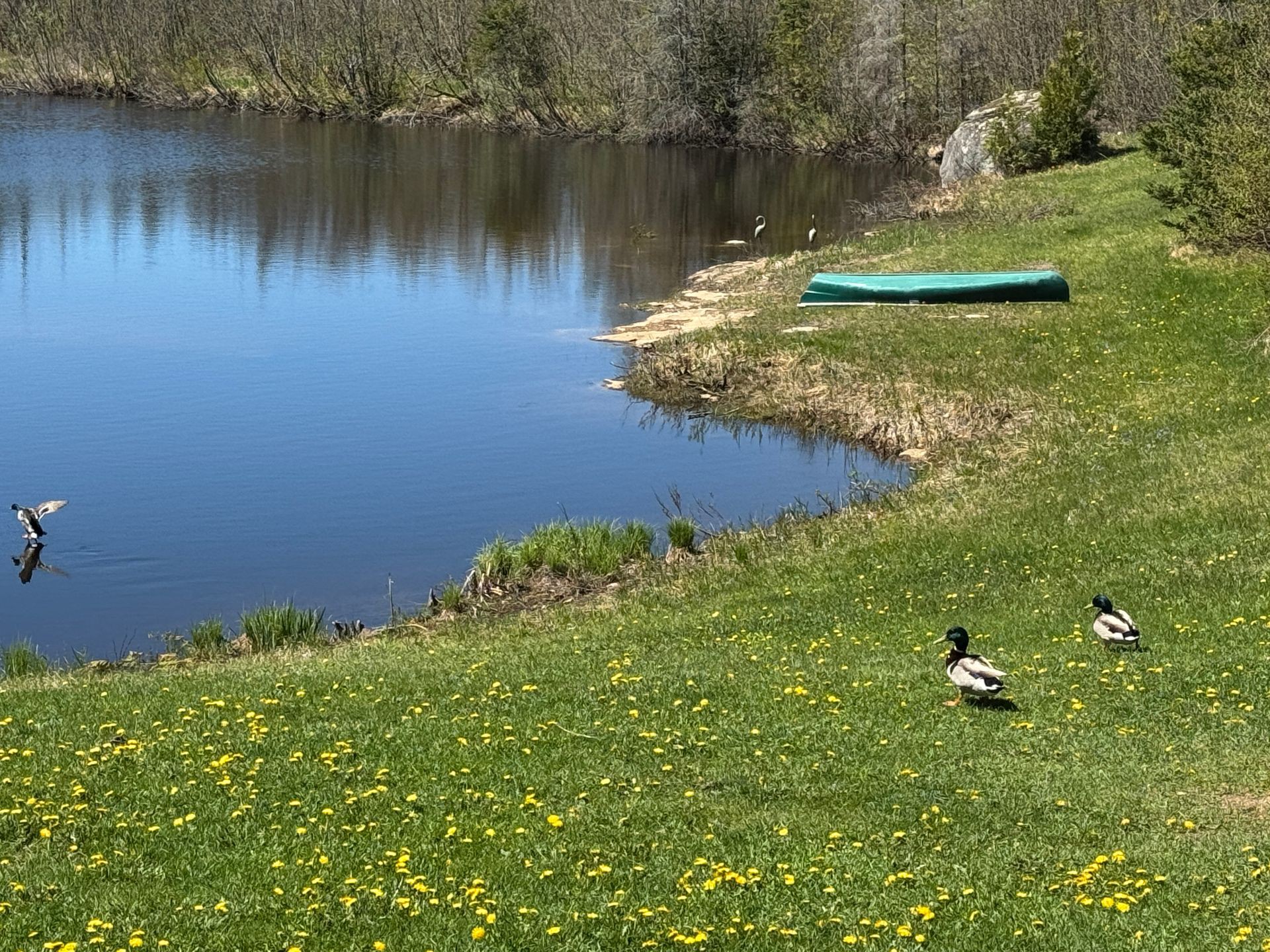 Bord de l'eau