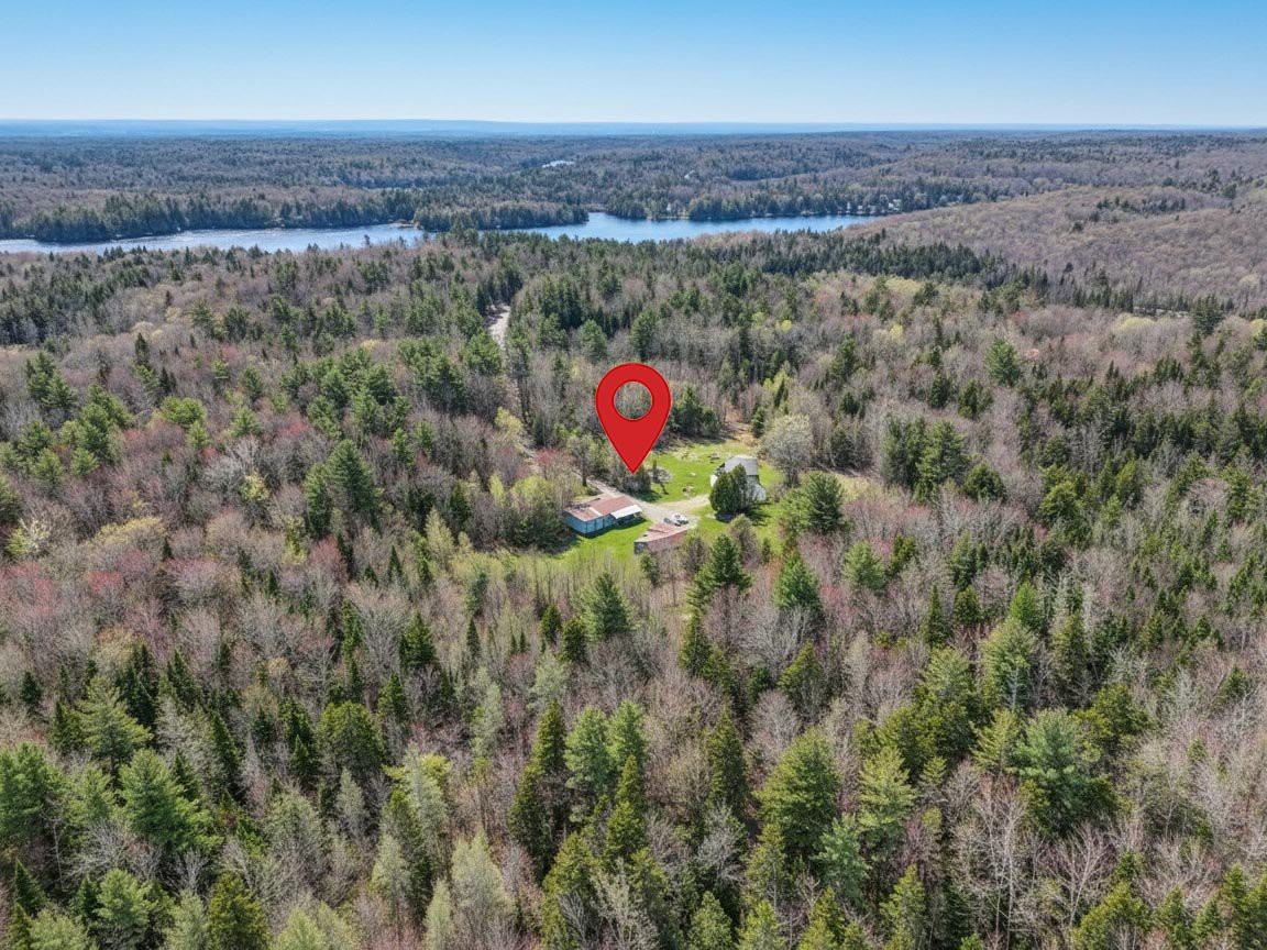 Aerial photo