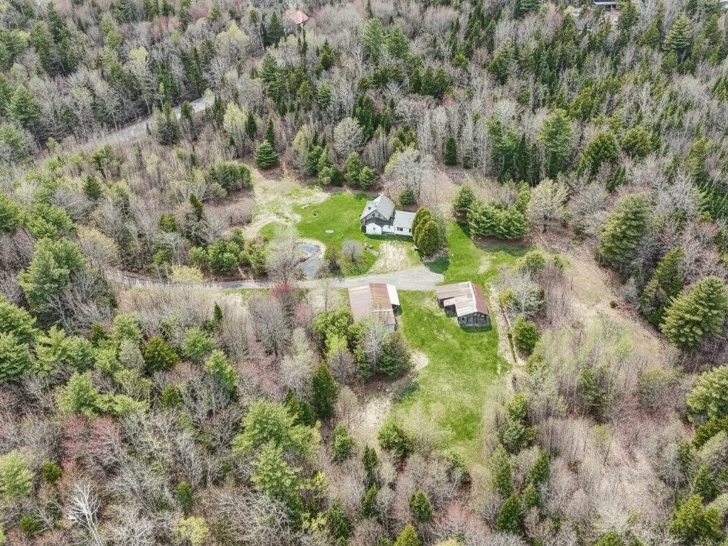 Aerial photo