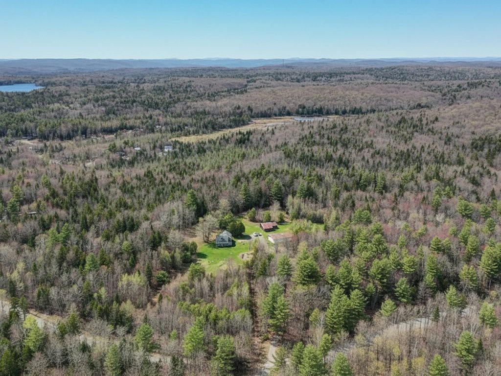 Aerial photo