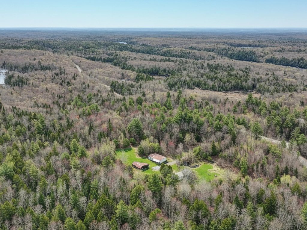 Aerial photo