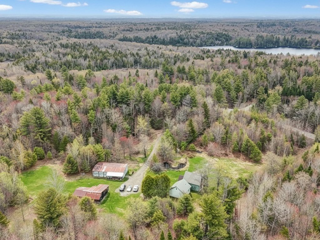 Aerial photo
