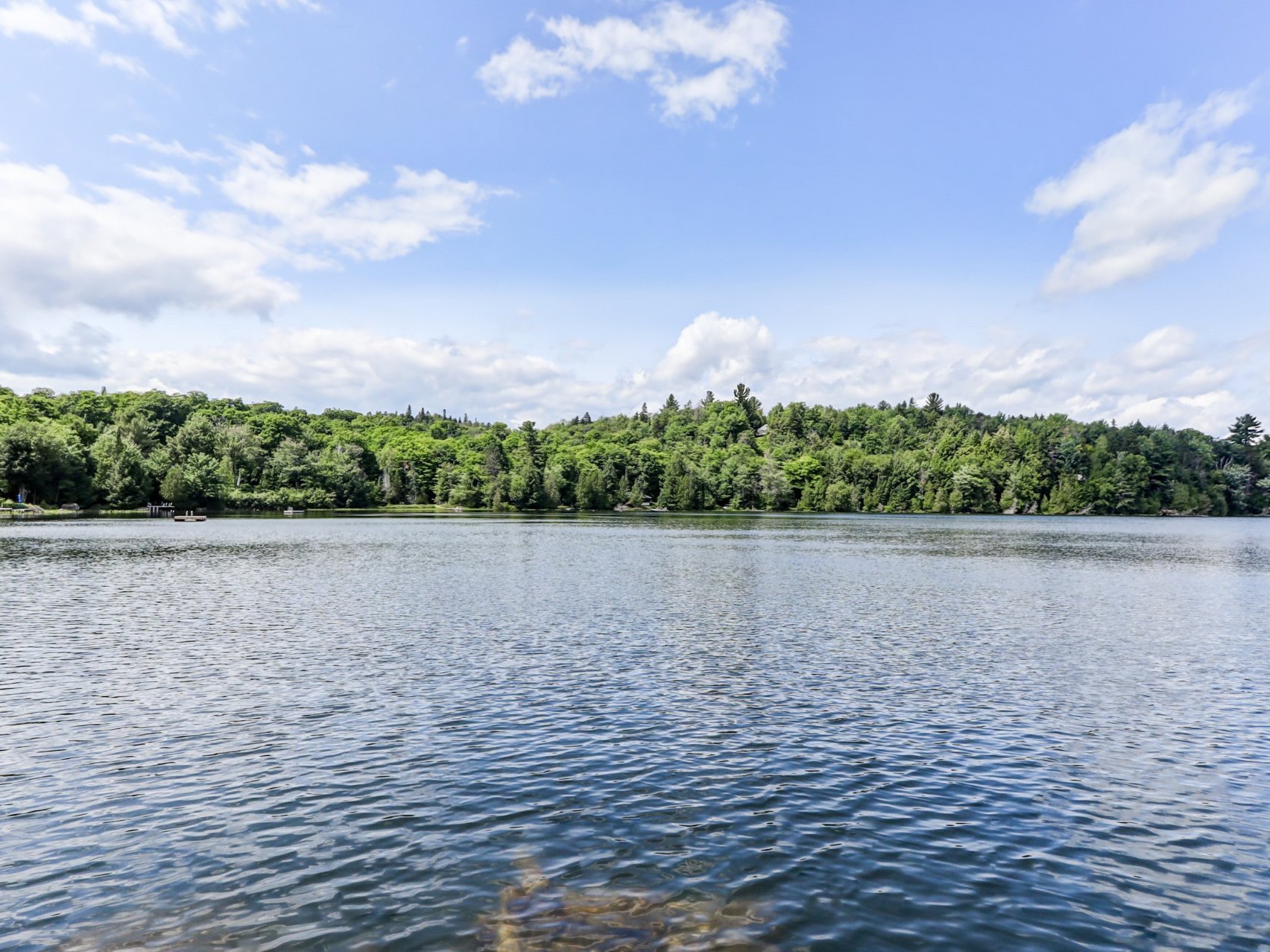 Bord de l'eau