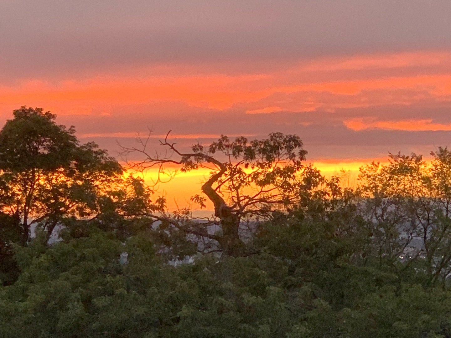 vue du balcon