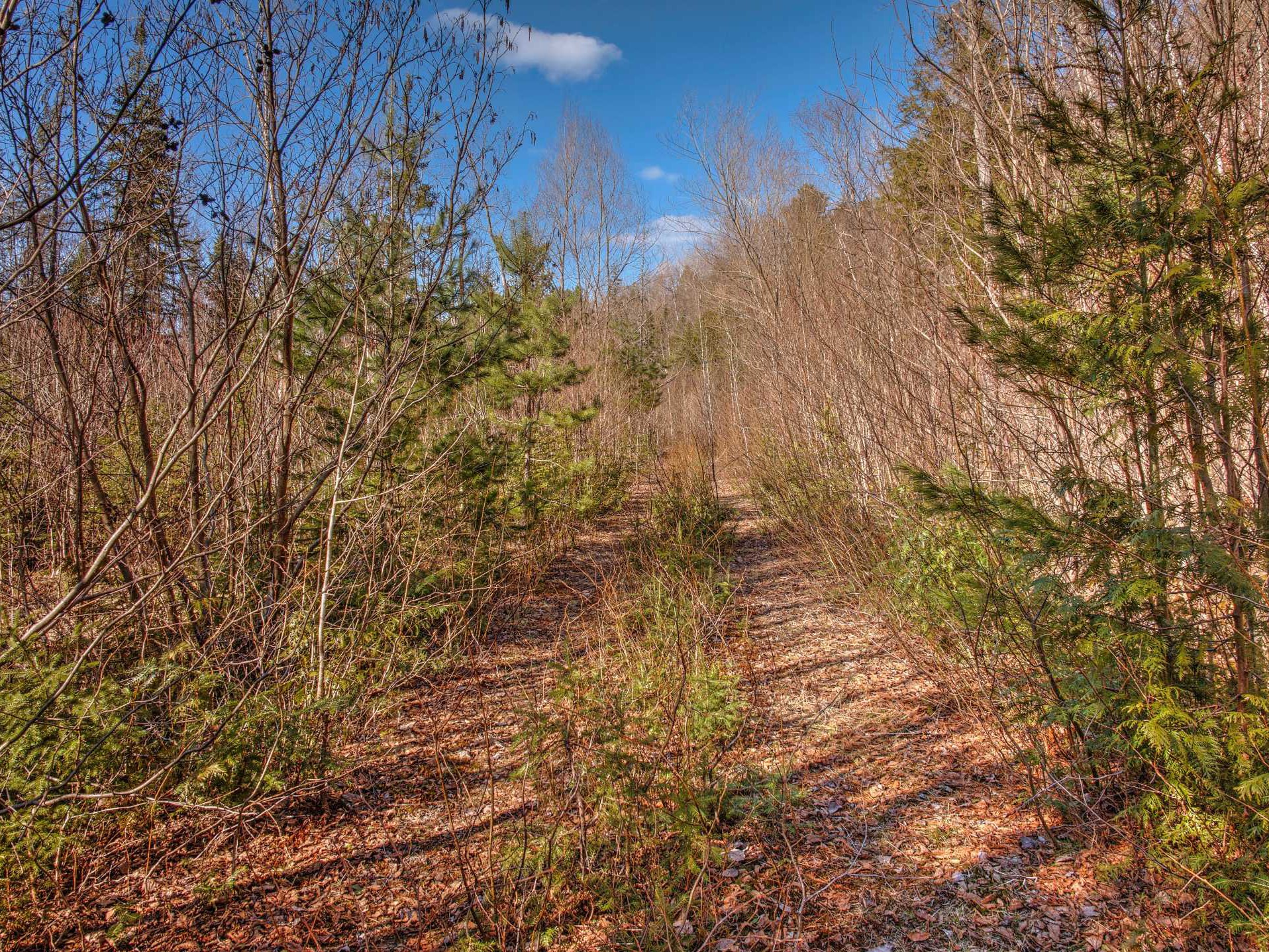 Chemin de terre