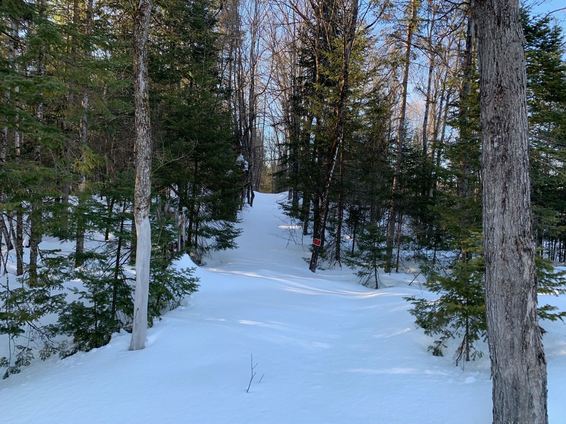 sentier du domaine