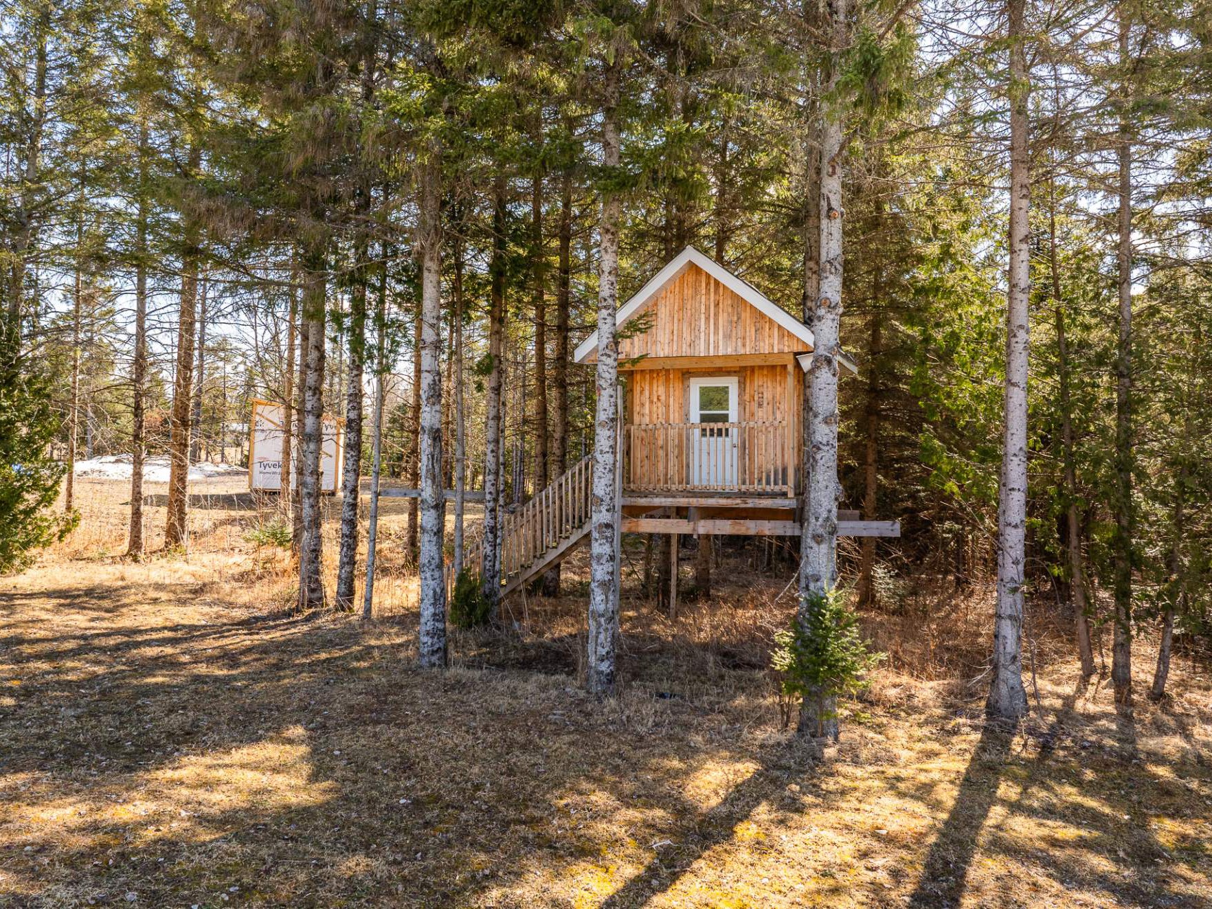 Cabane dans les arbres pour le plaisir des enfants