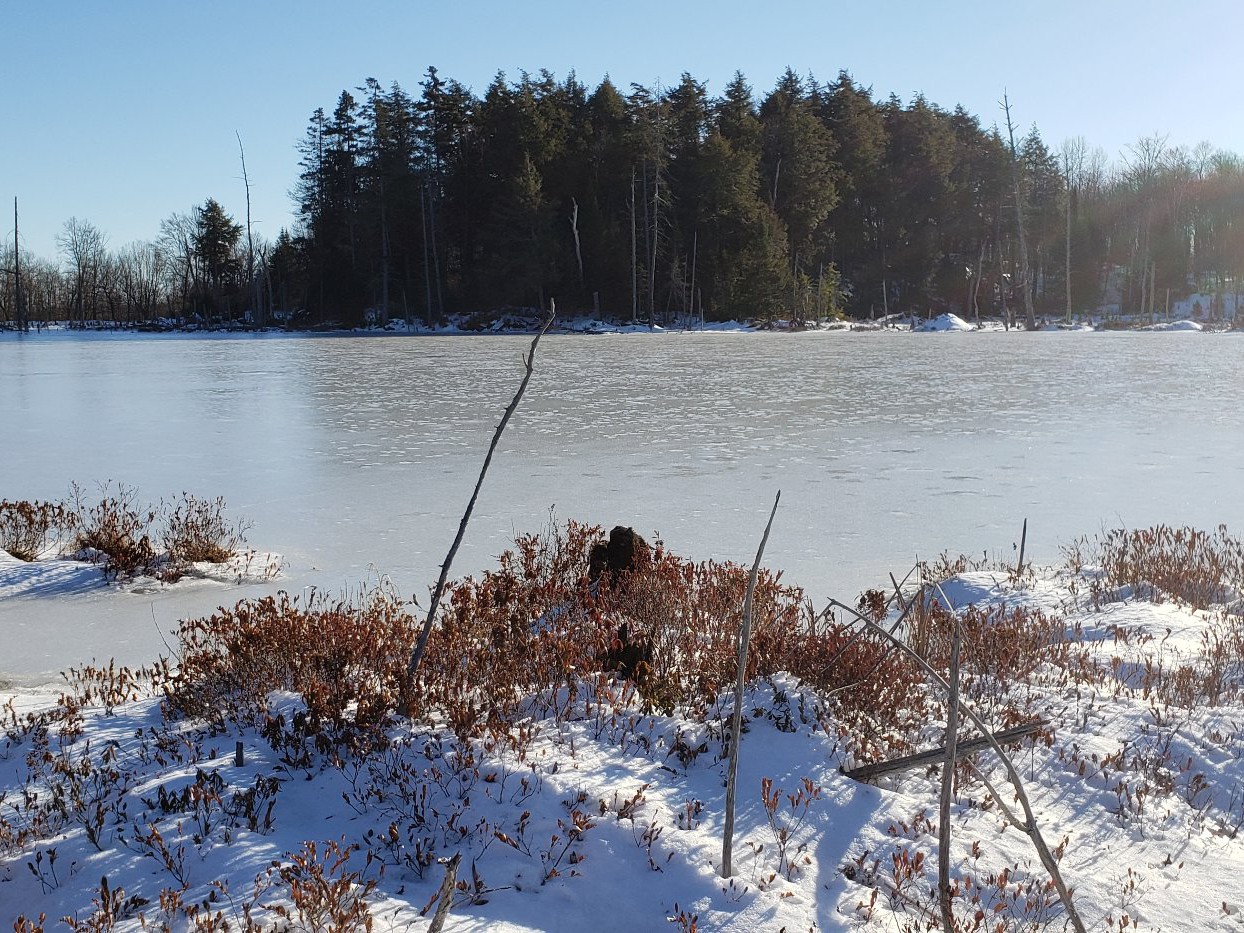 Lac Carolyne hiver