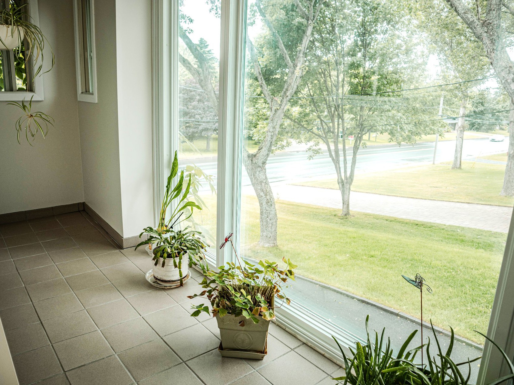 Solarium/Sunroom