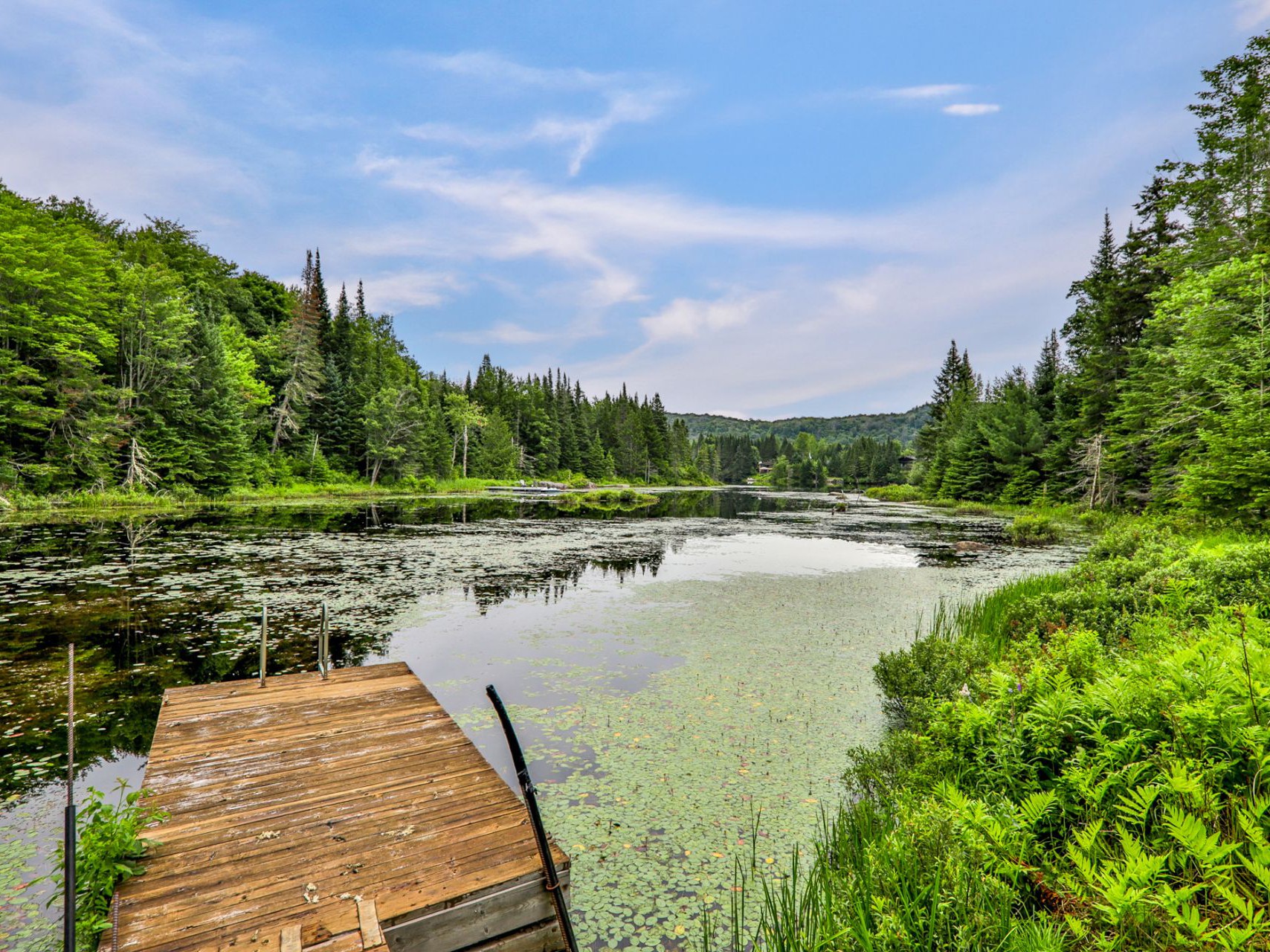 Vue sur l'eau