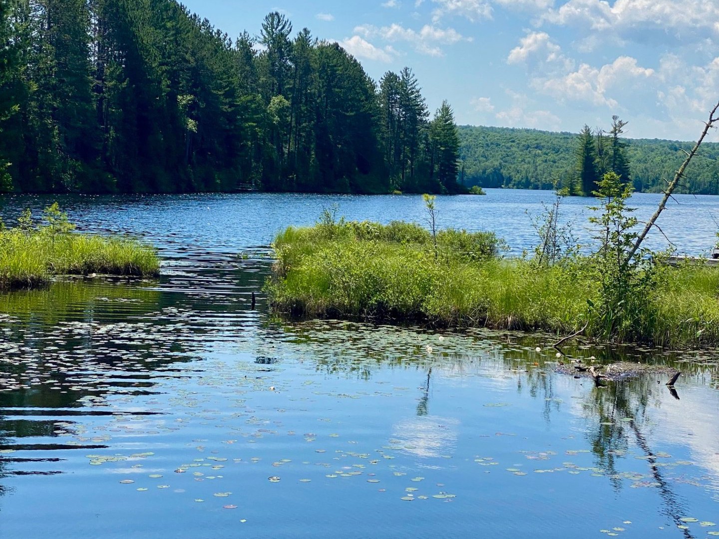 Accès au plan d'eau