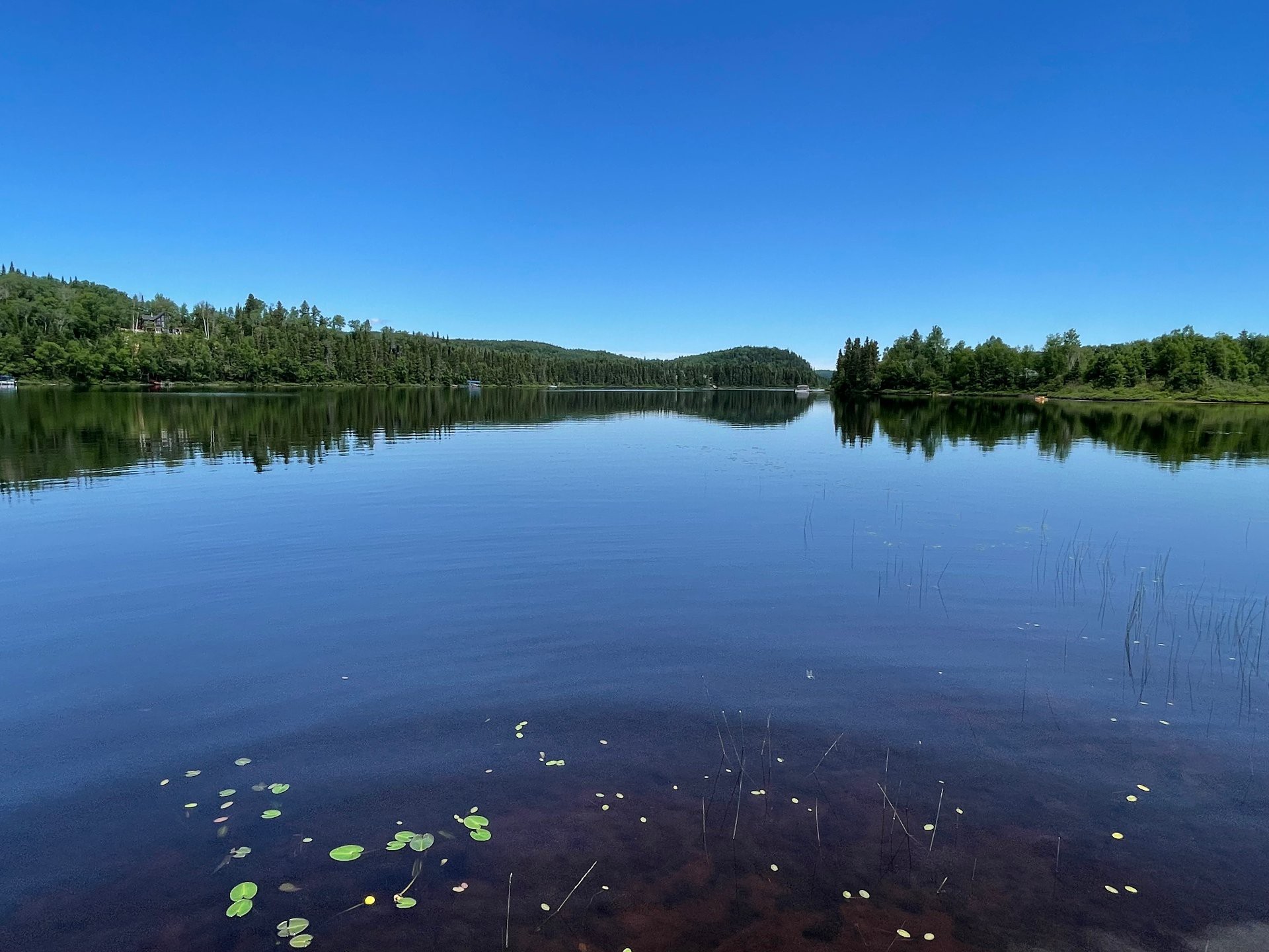 Vue sur l'eau