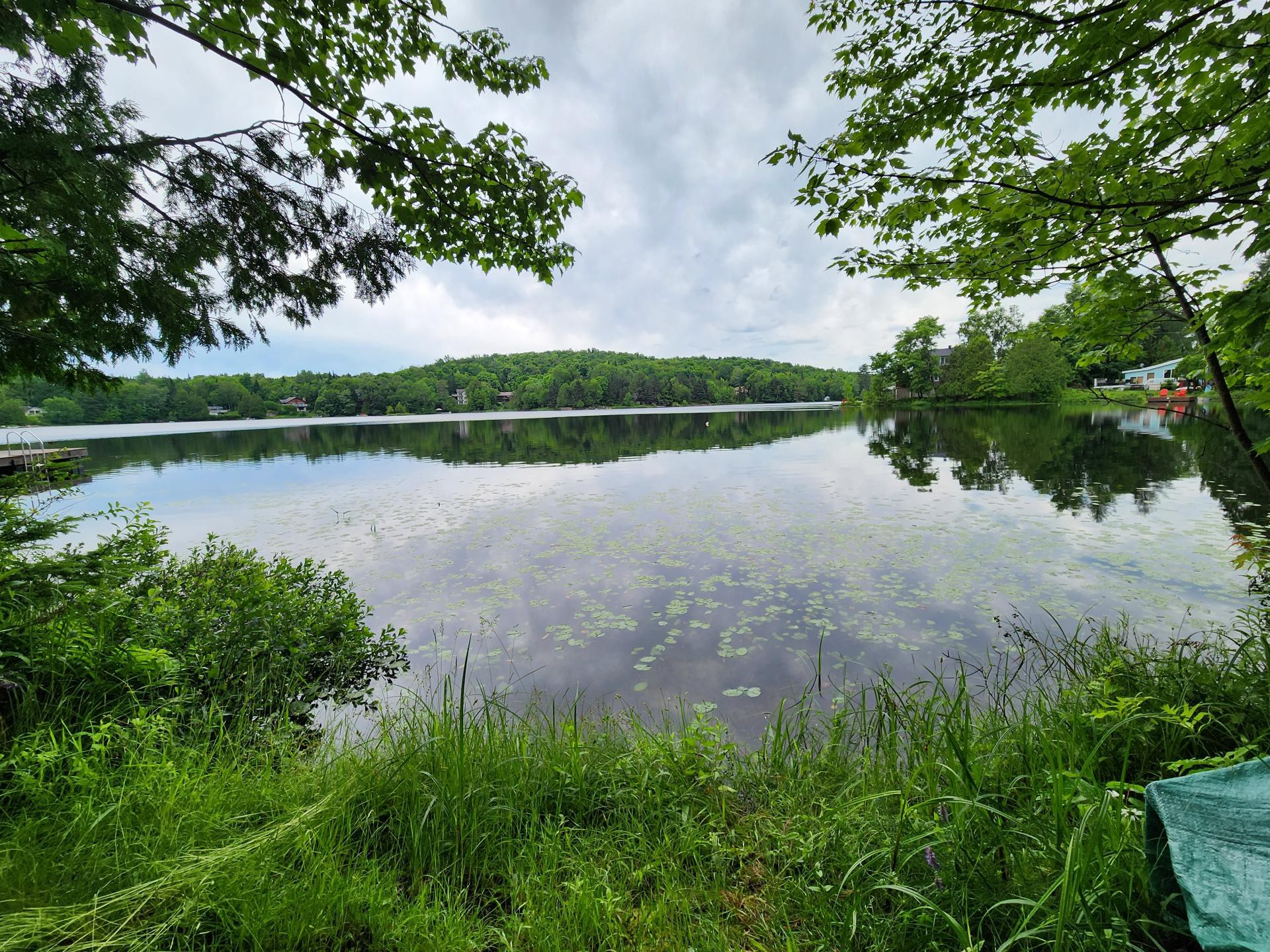 Bord de l'eau