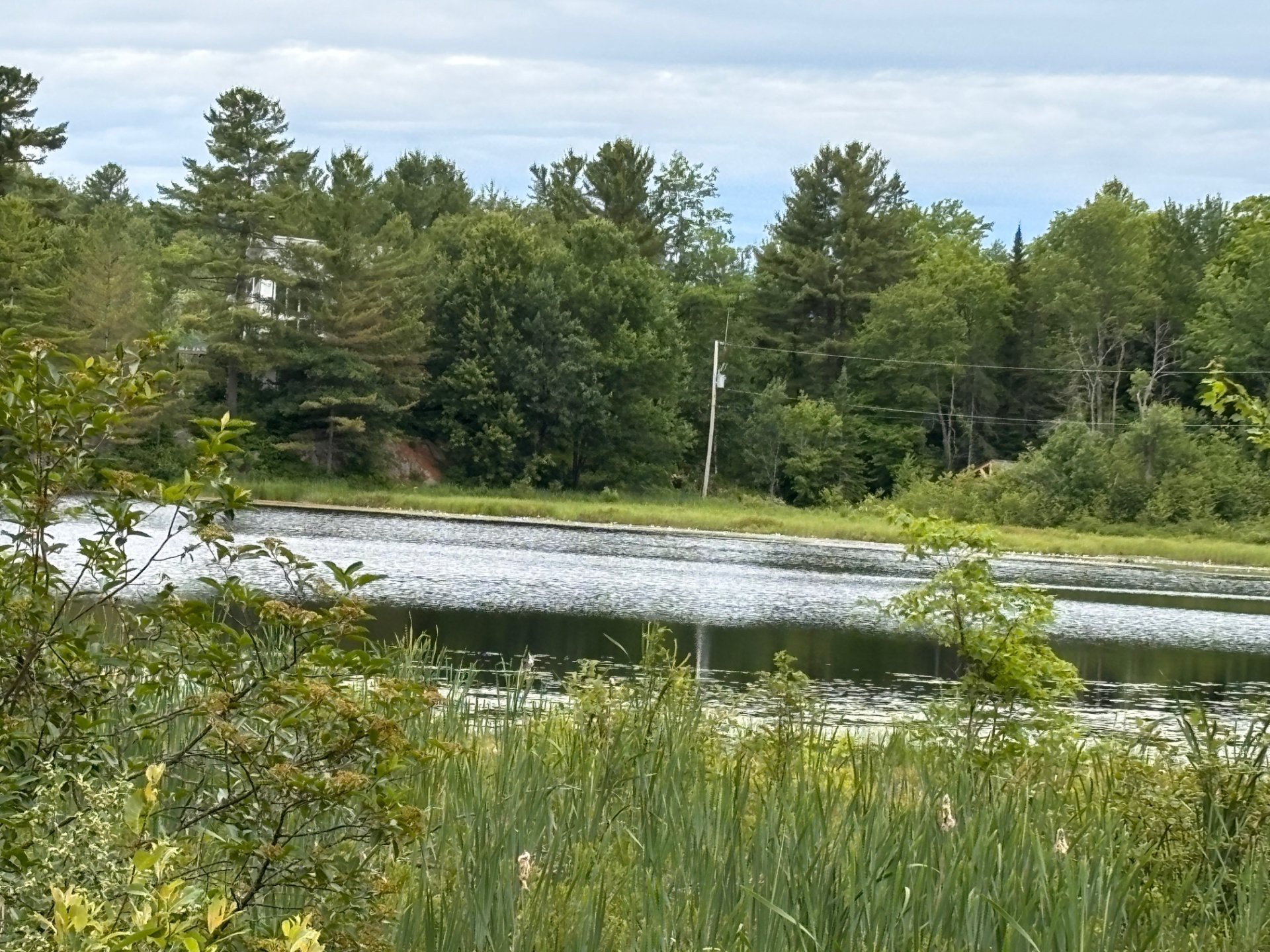 Bord de l'eau