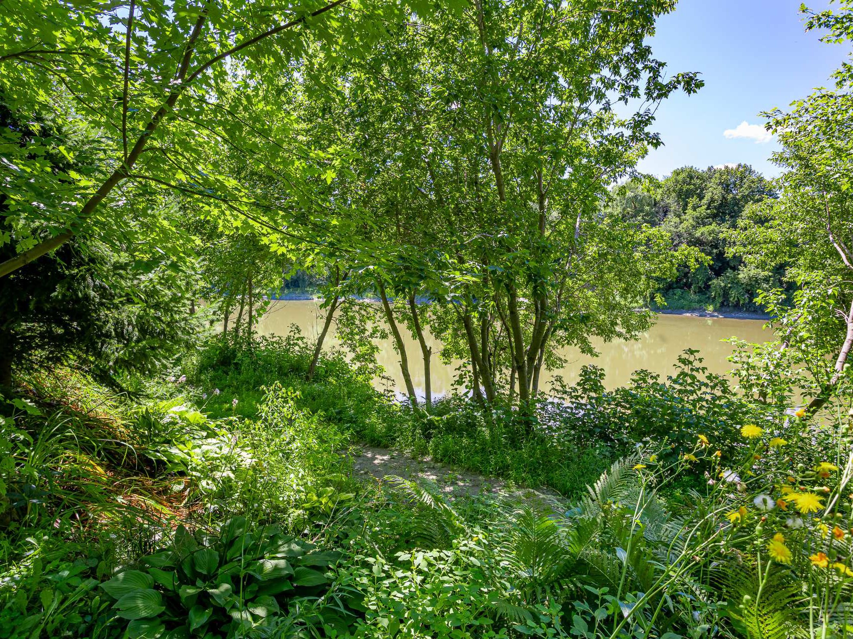 Vue sur l'eau