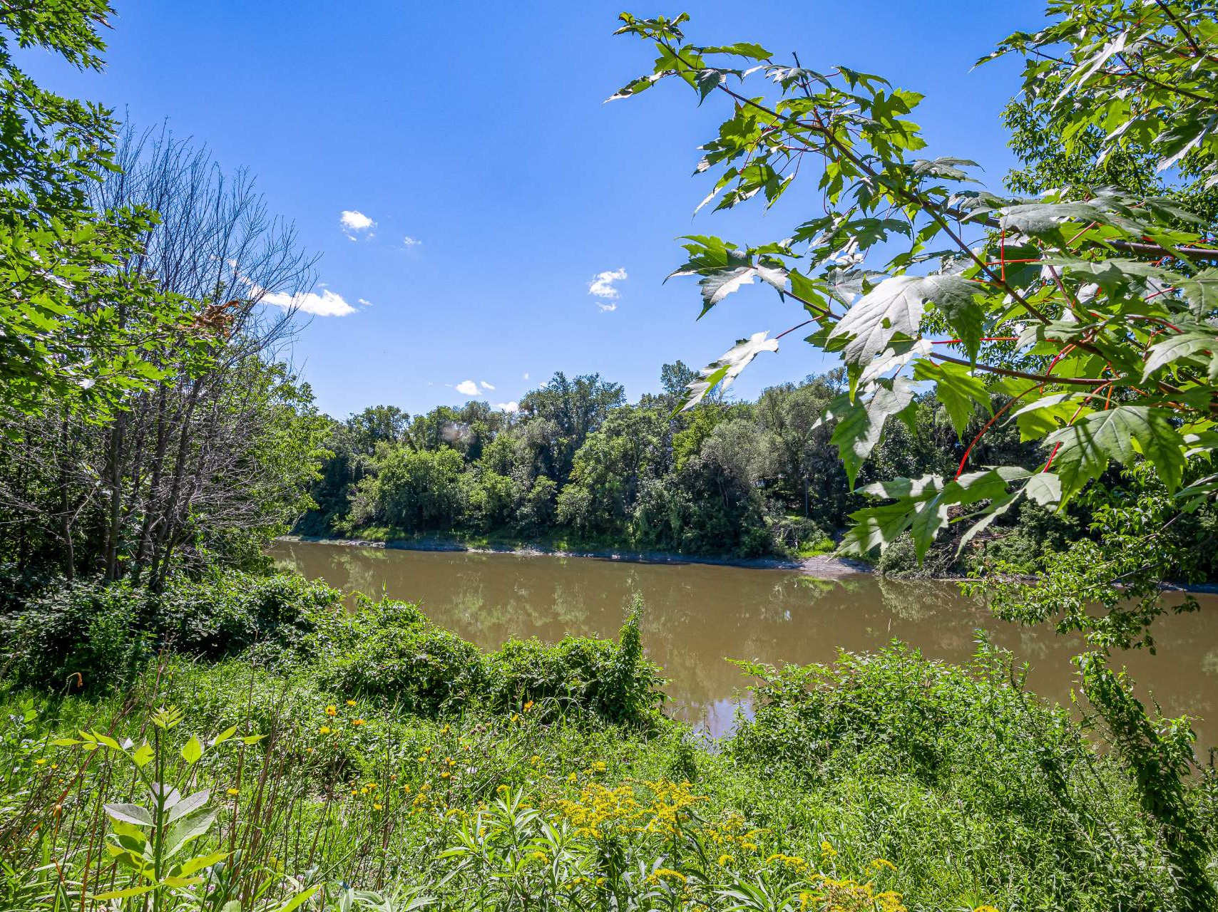 Vue sur l'eau