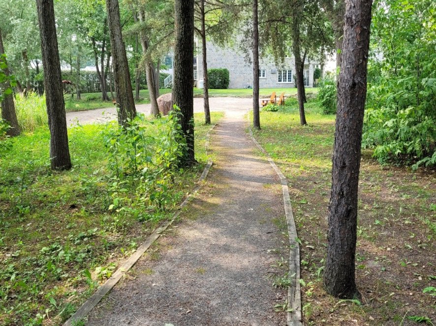 allée du boisé entre le quai et la plage