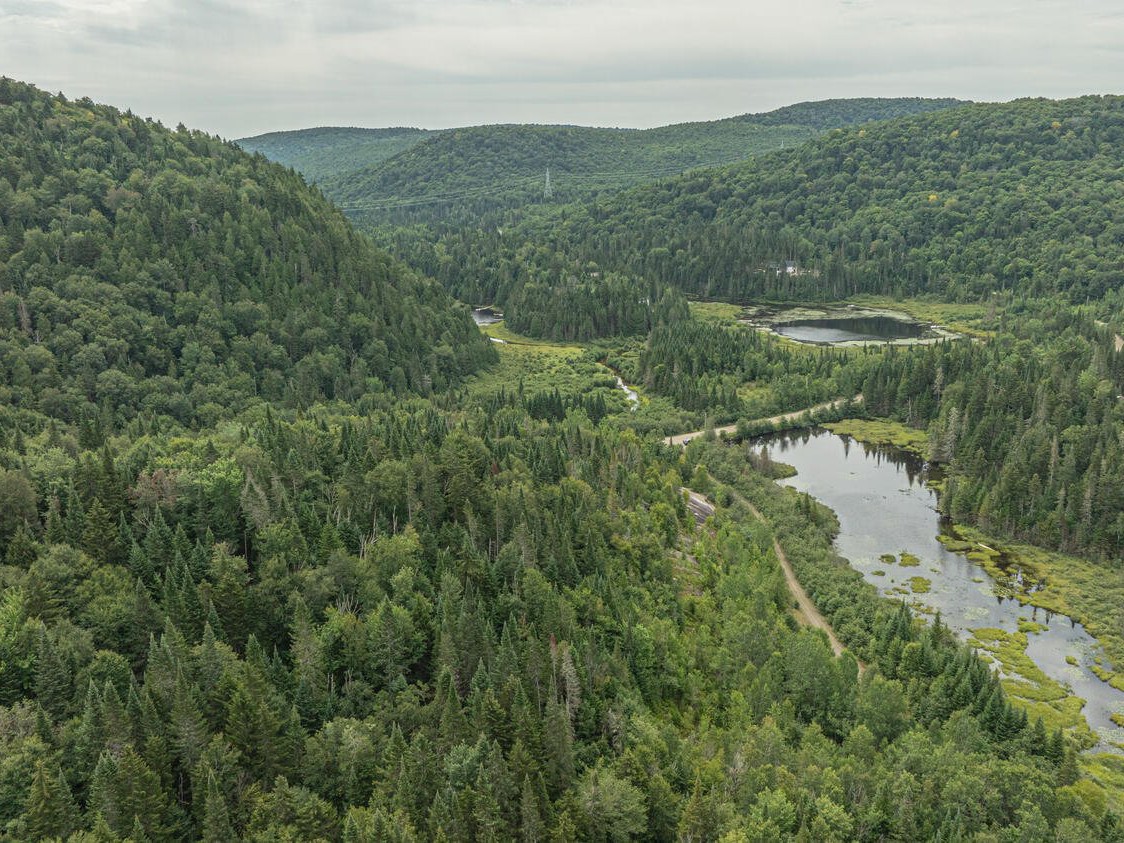 Aerial photo