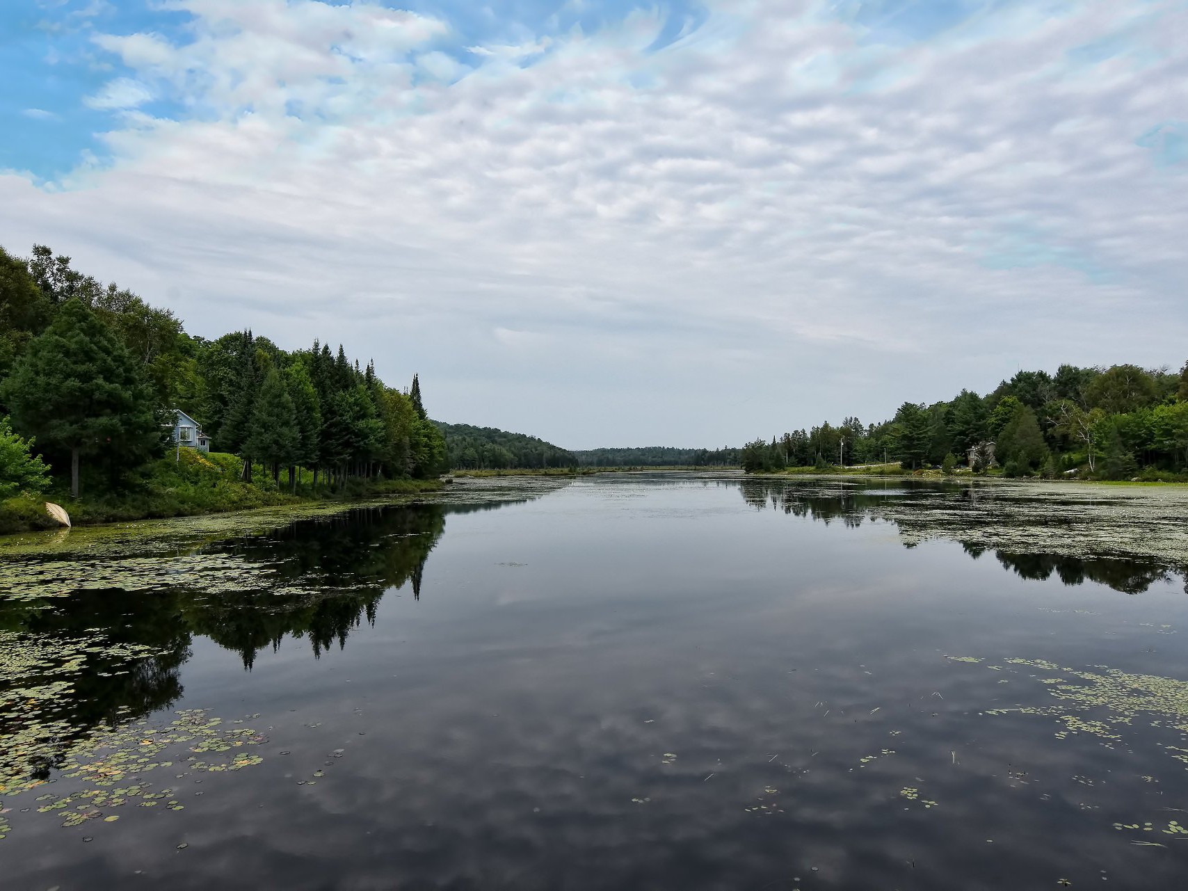 Bord de l'eau