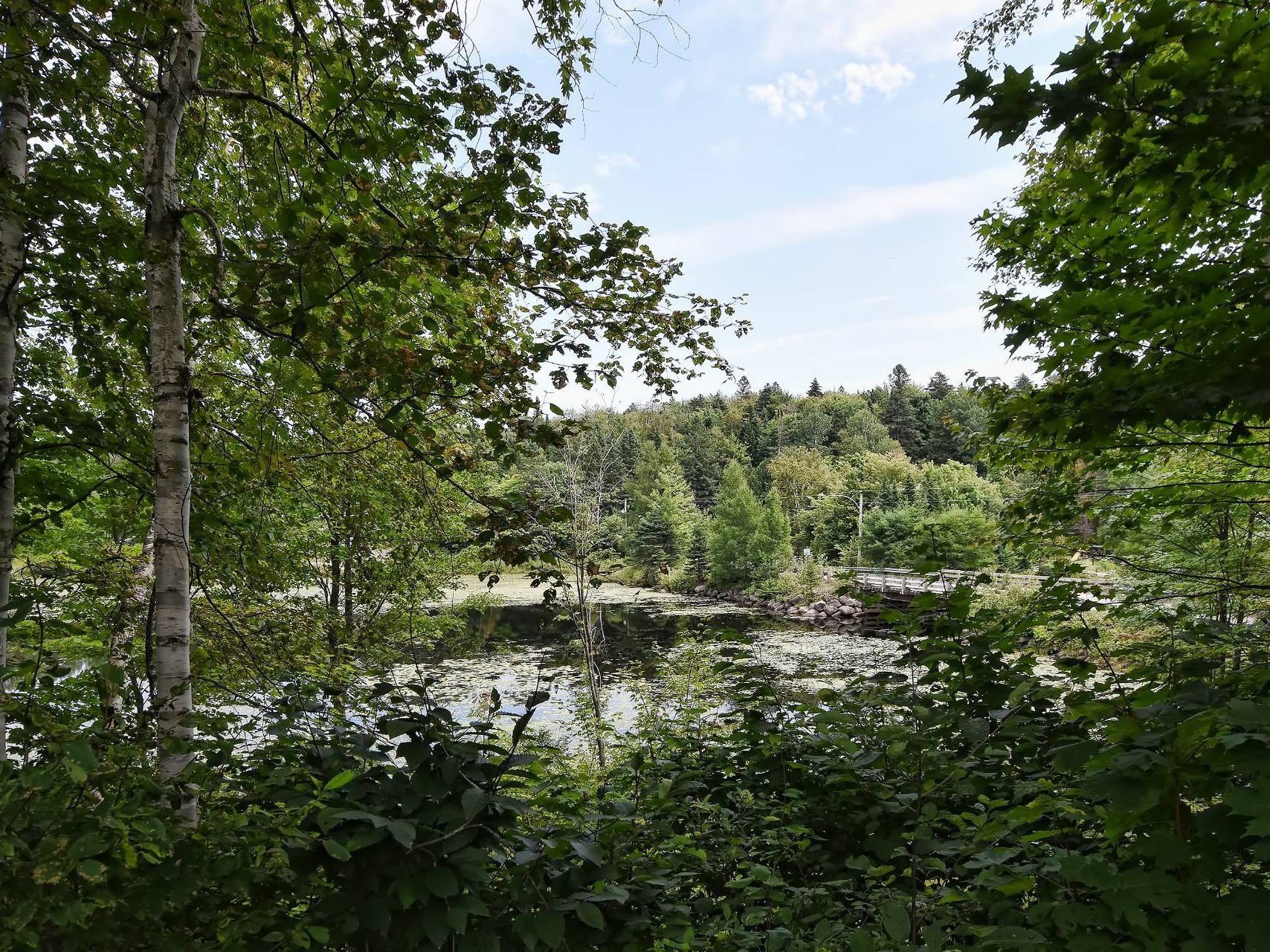 Bord de l'eau