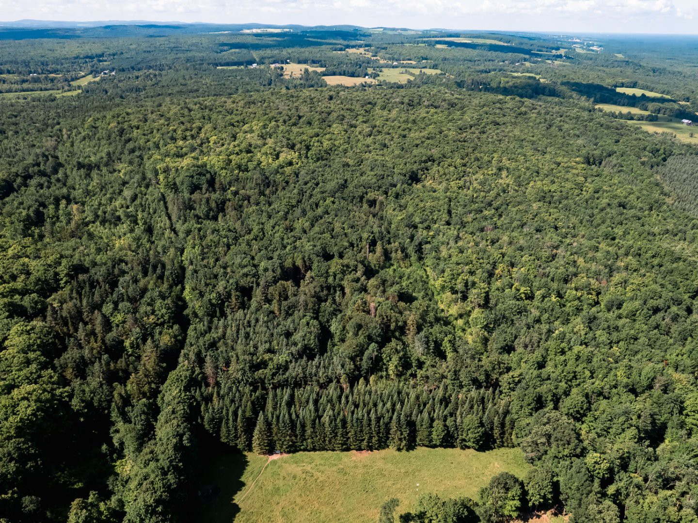 Vue d'ensemble