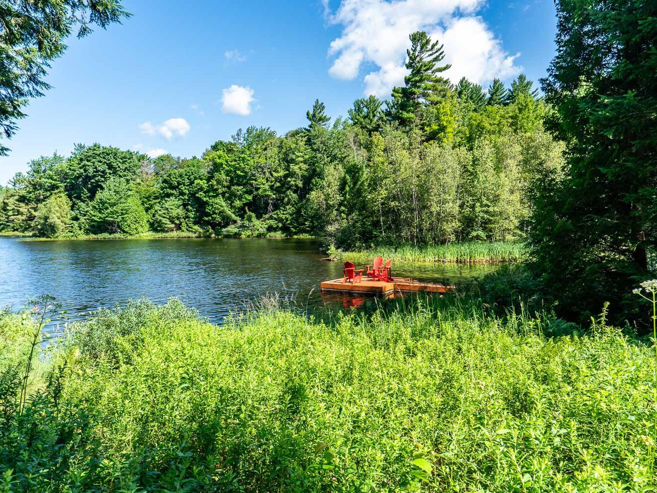 Bord de l'eau